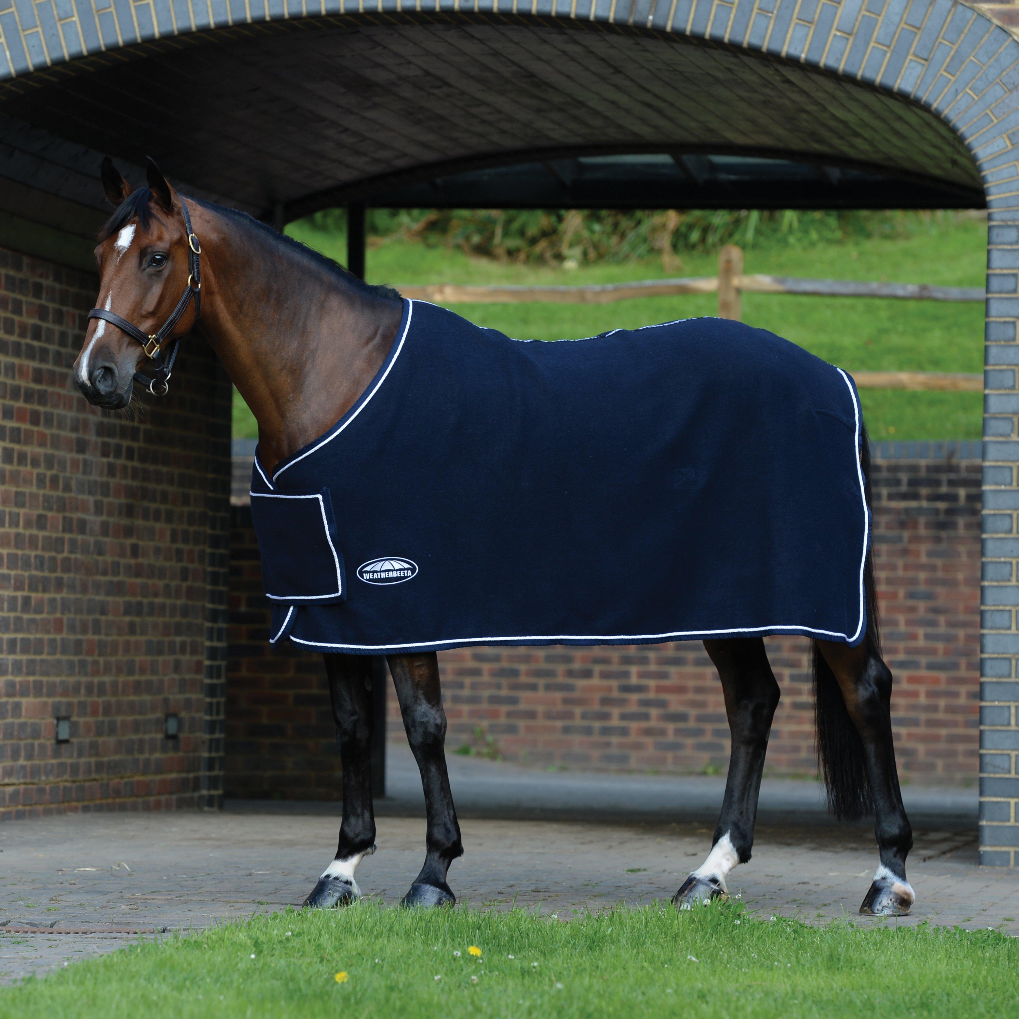 Standard Neck Wool Show Sheet With Chest Panel Navy/White