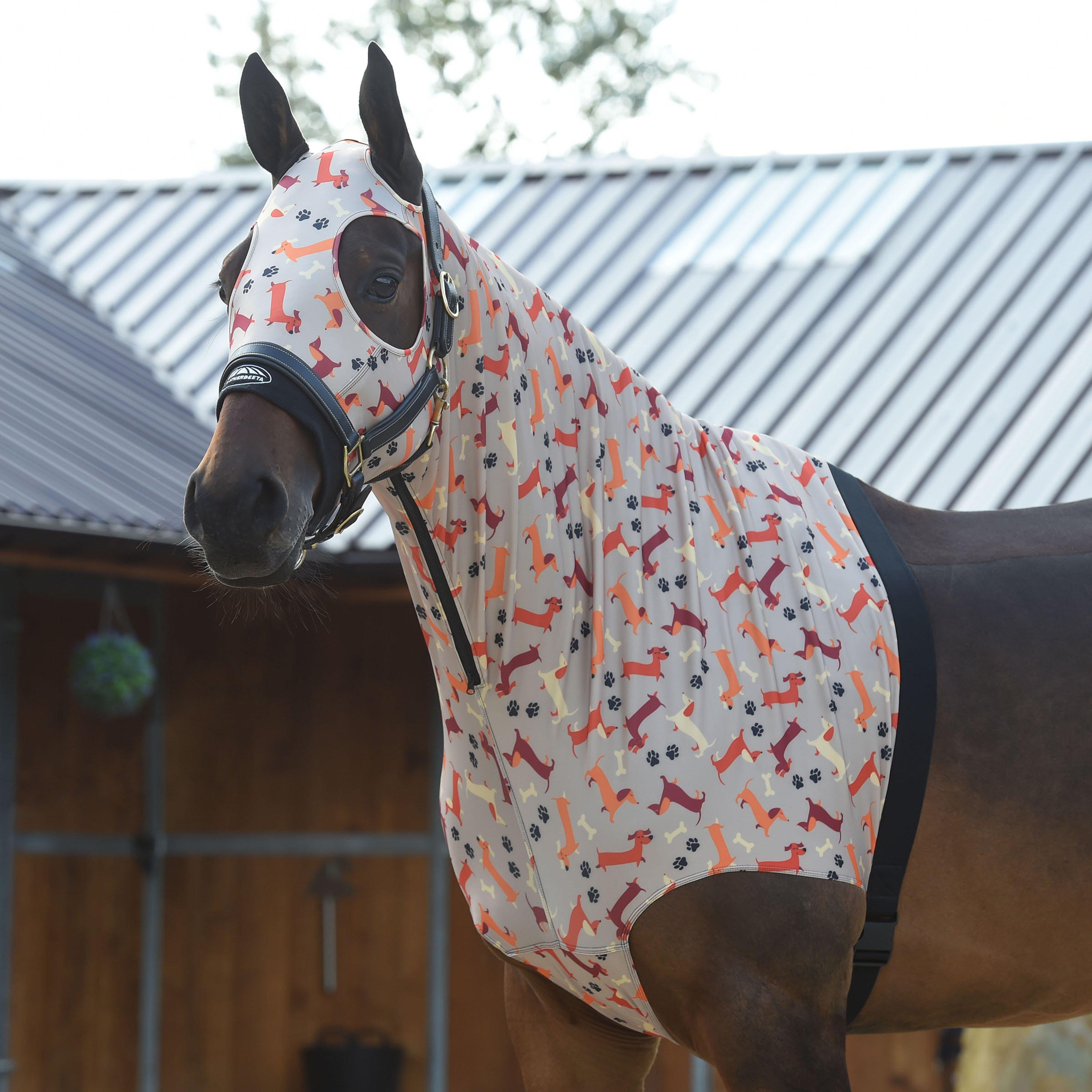 Printed Stretch Hood With Zip Dachshund Print