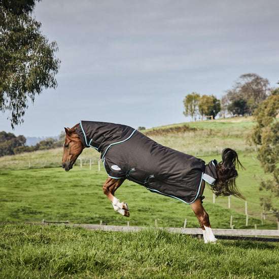 ComFiTec Ultra Comfi Detach-A-Neck 220g Mediumweight Turnout Rug Charcoal/Teal Blue/White