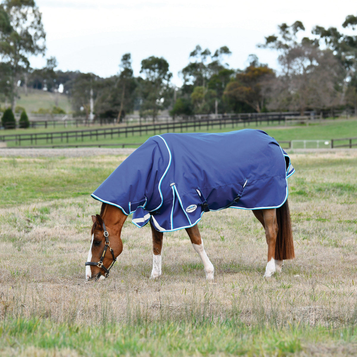 ComFiTec Ultra Hardi Detach-A-Neck 100g Medium/Light Weight Turnout Rug Blue/Bright Blue/White