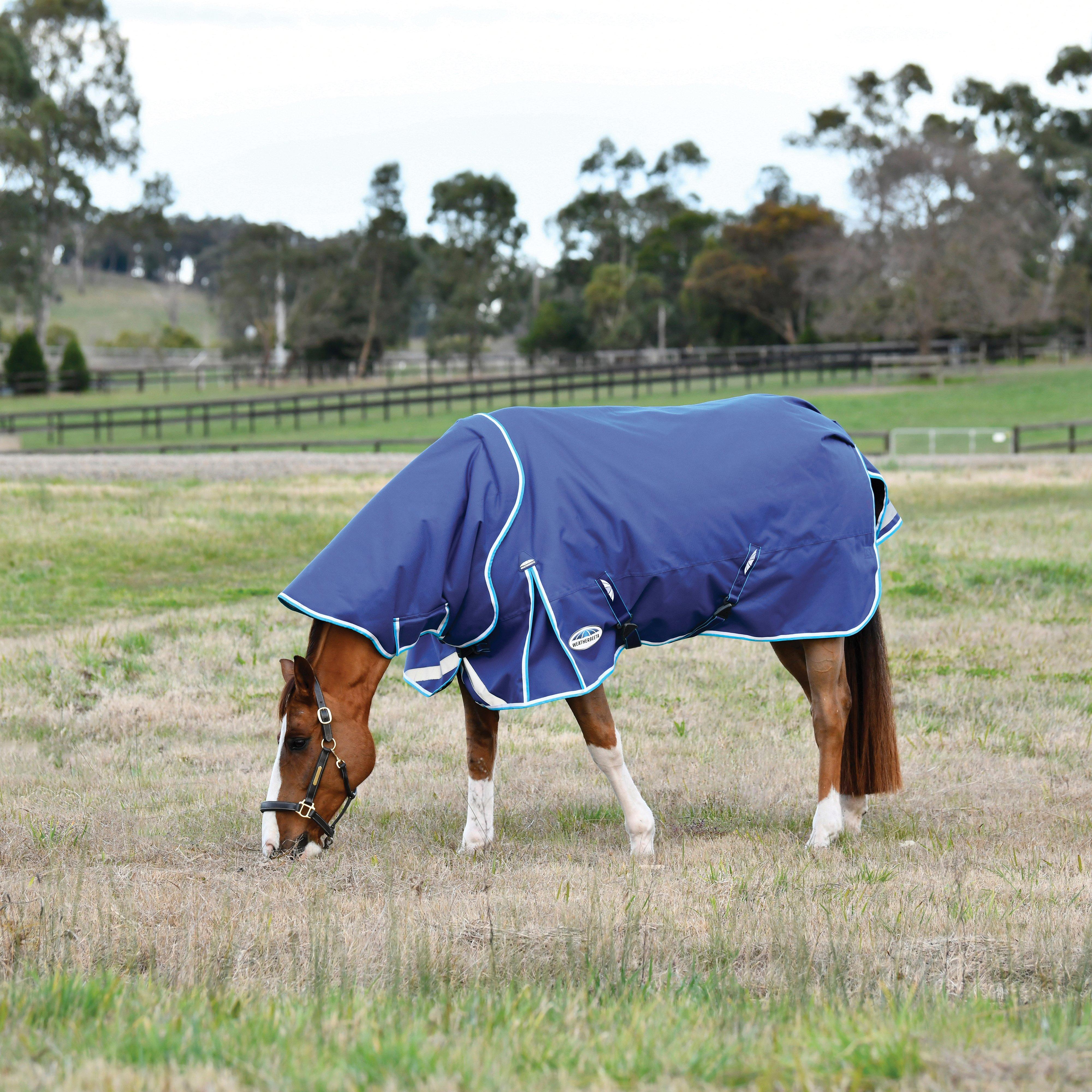 ComFiTec Ultra Hardi Detach-A-Neck 100g Medium/Light Weight Turnout Rug Blue/Bright Blue/White