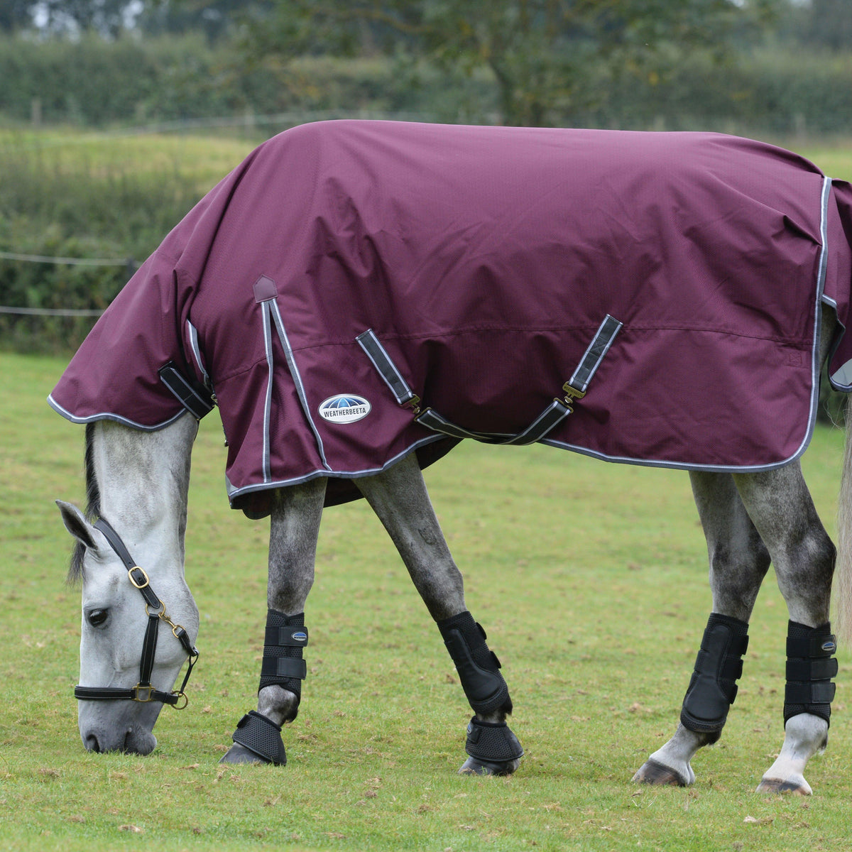 ComFiTec Plus Dynamic II Combo Neck Mediumweight 220g Turnout Rug Maroon/Grey/White