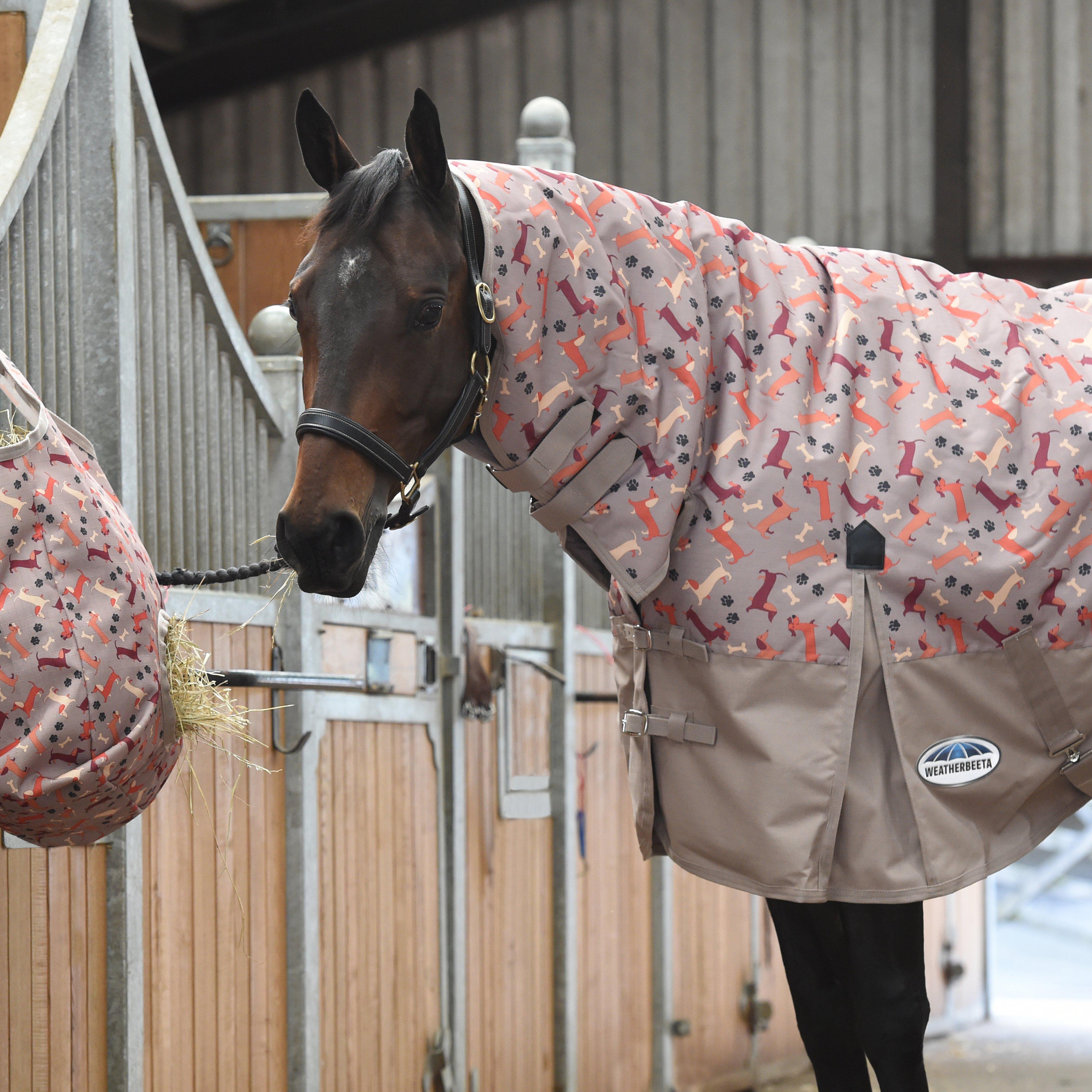 ComFiTec Essential Combo Neck 220g Mediumweight Turnout Rug Dachshund Print