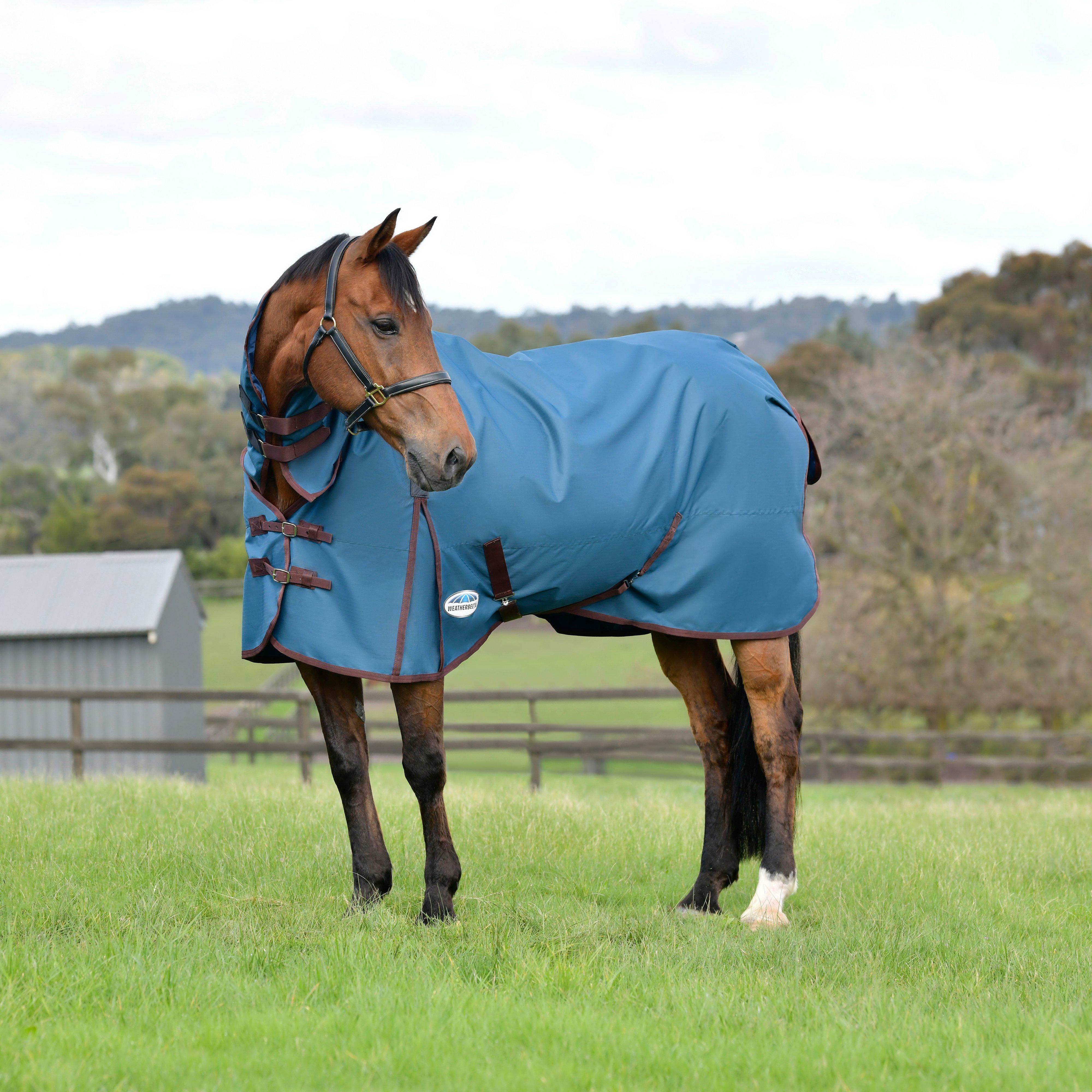 ComFiTec Classic Combo Neck 220g Mediumweight Turnout Rug Dark Blue/Coffee