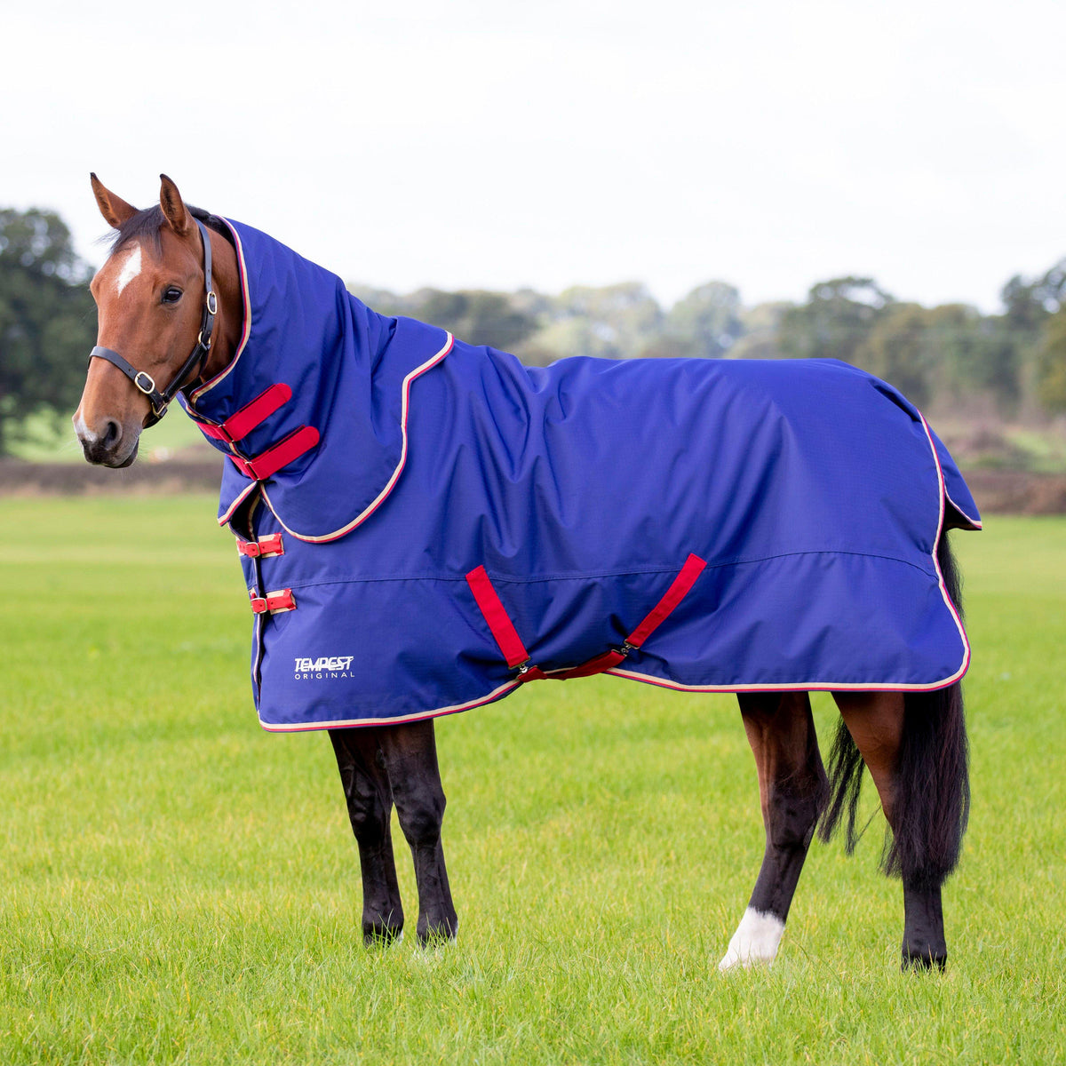 Tempest Original 100g Detach-A -Neck Turnout Rug Navy
