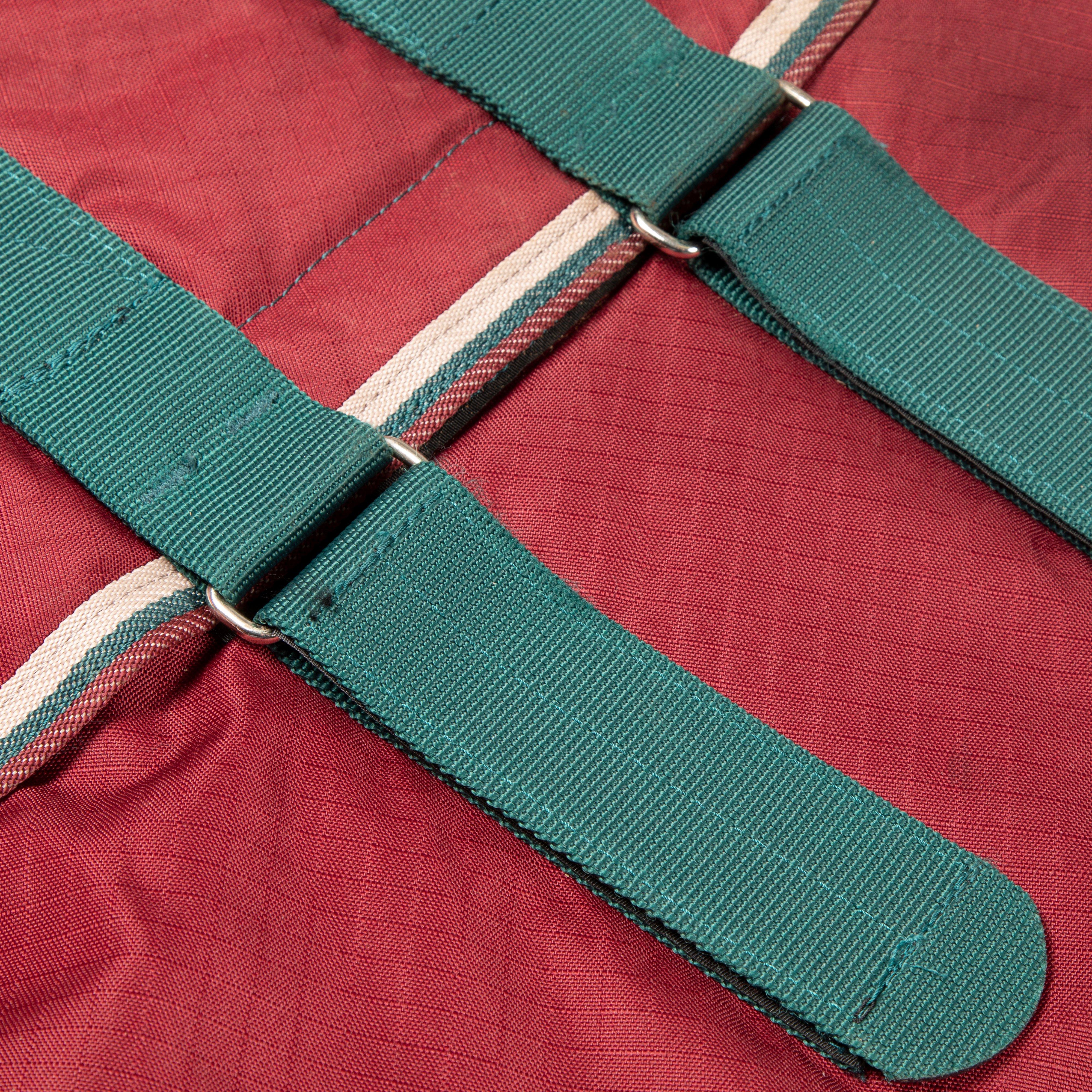 Tempest Original 200g Combo Neck Turnout Rug Maroon