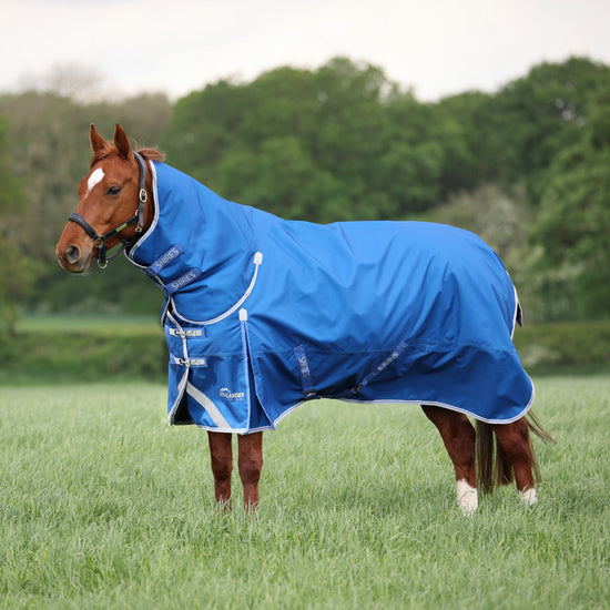 Highlander Original 200g Combo Neck Turnout Rug Blue