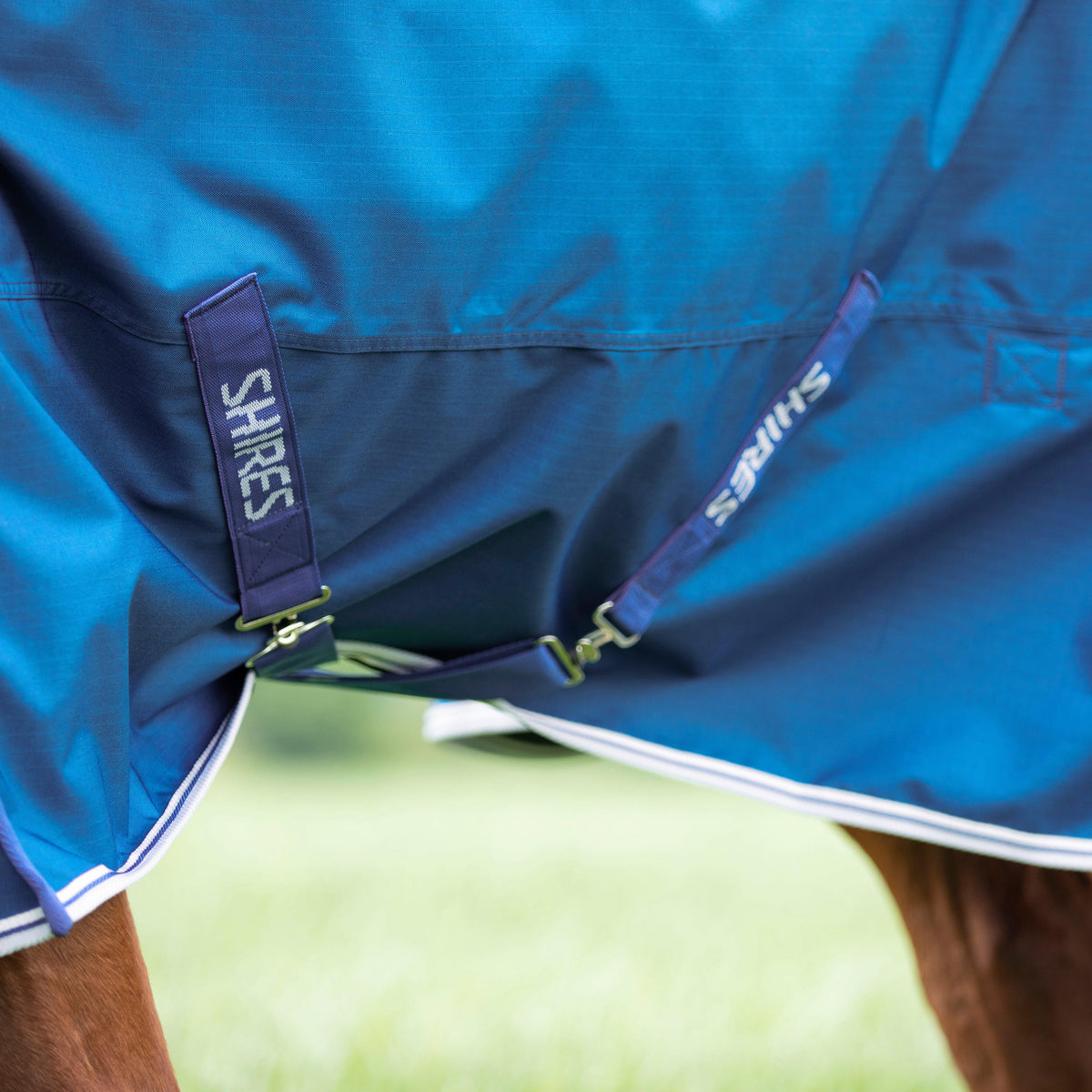 Highlander Original 200g Combo Neck Turnout Rug Blue
