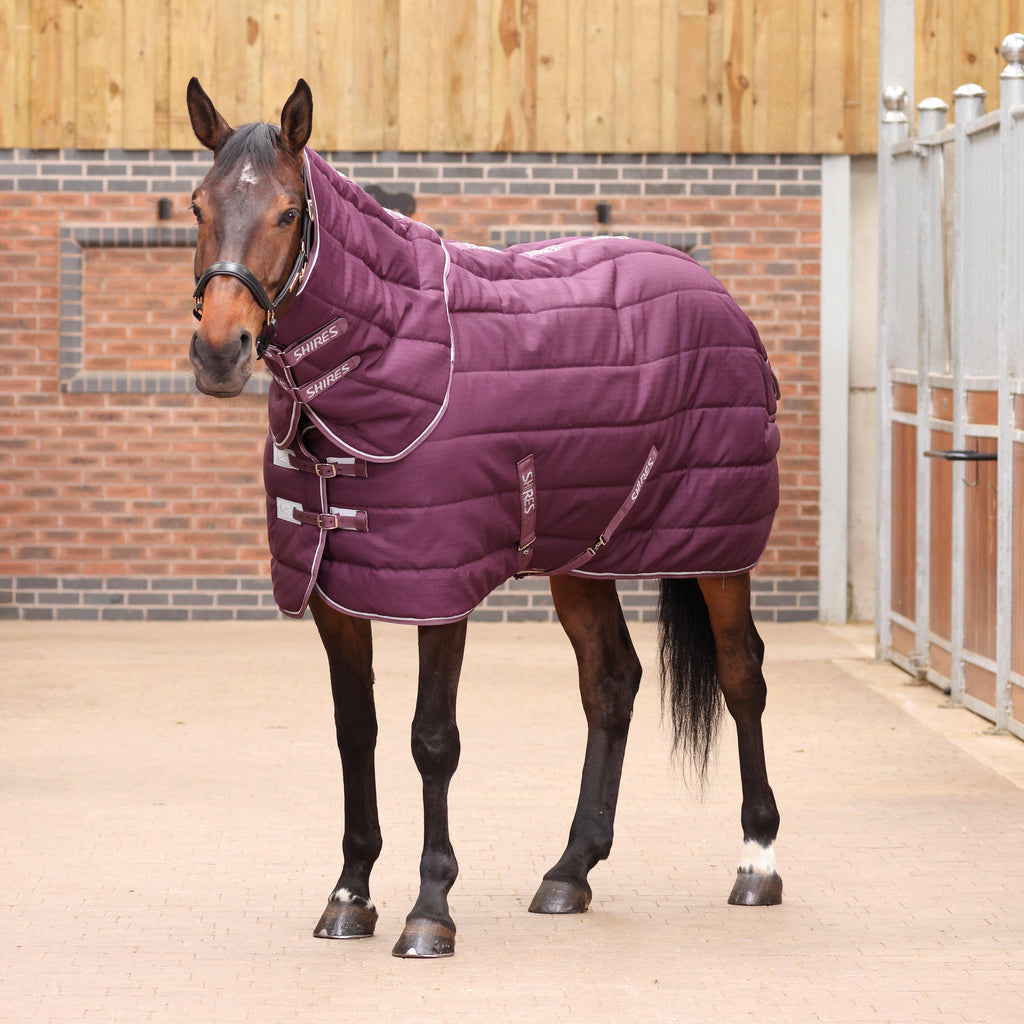 Tempest Original 300g Heavyweight Detach-A-Neck Stable Rug Burgundy
