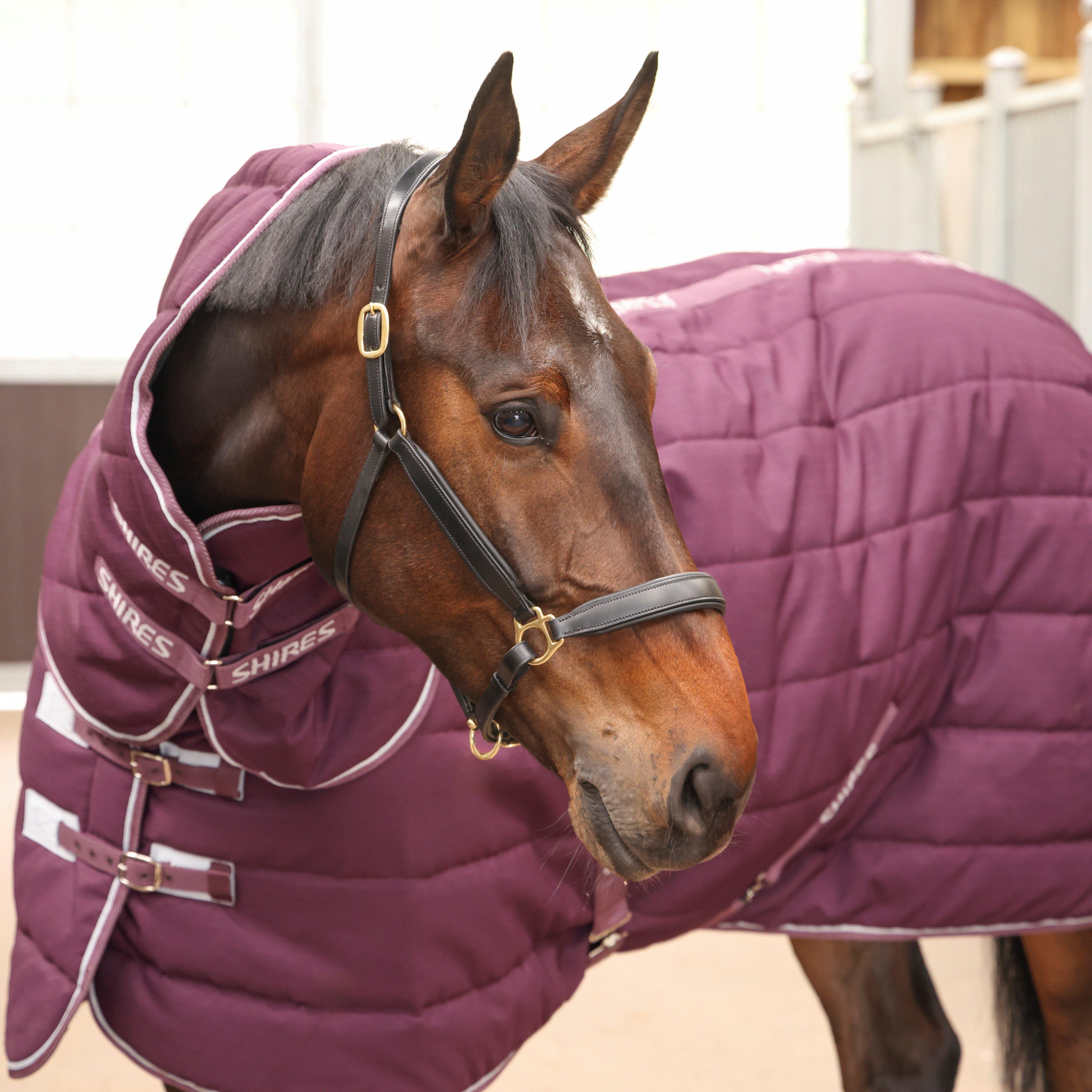Tempest Original 300g Heavyweight Detach-A-Neck Stable Rug Burgundy