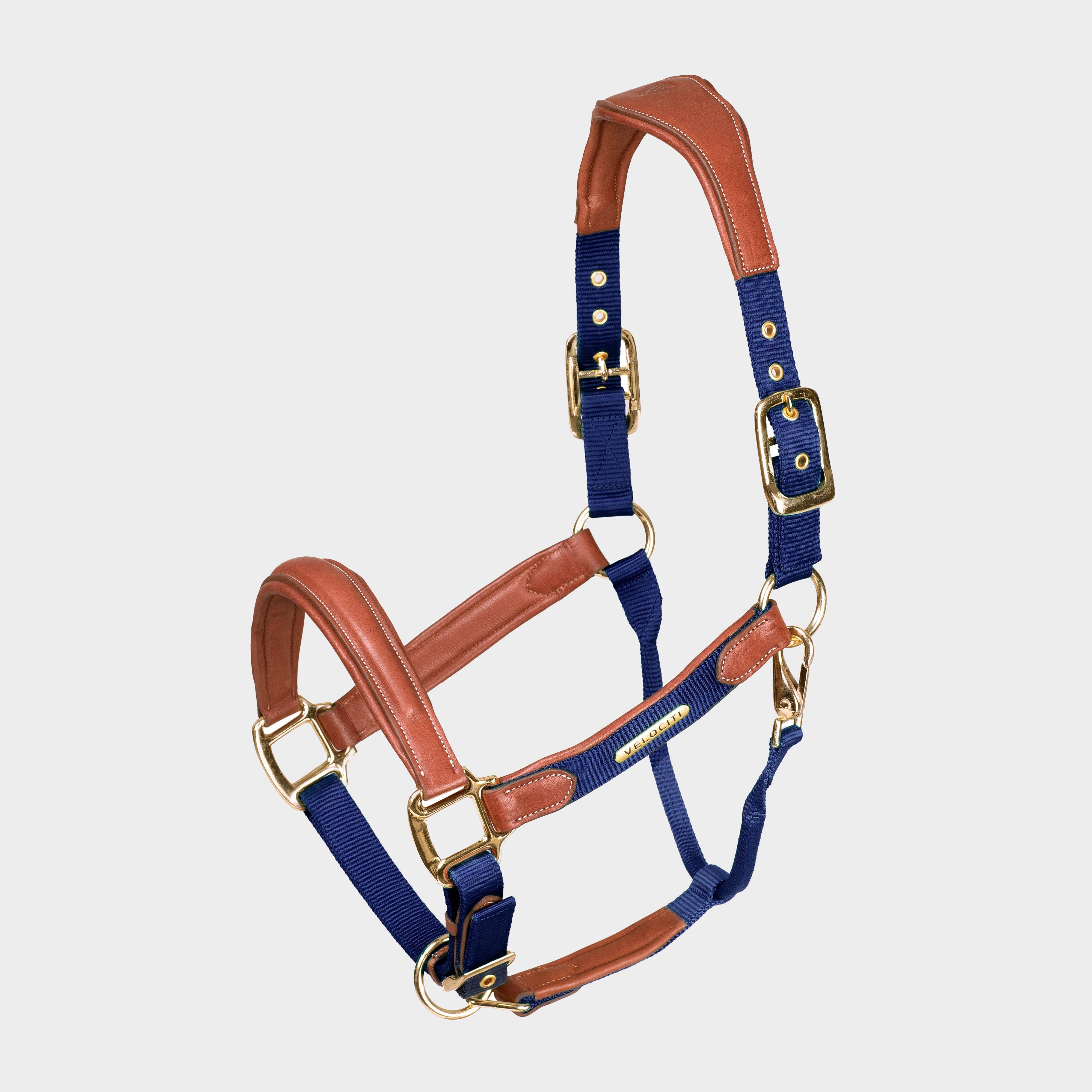 Lusso Padded Leather Headcollar Navy