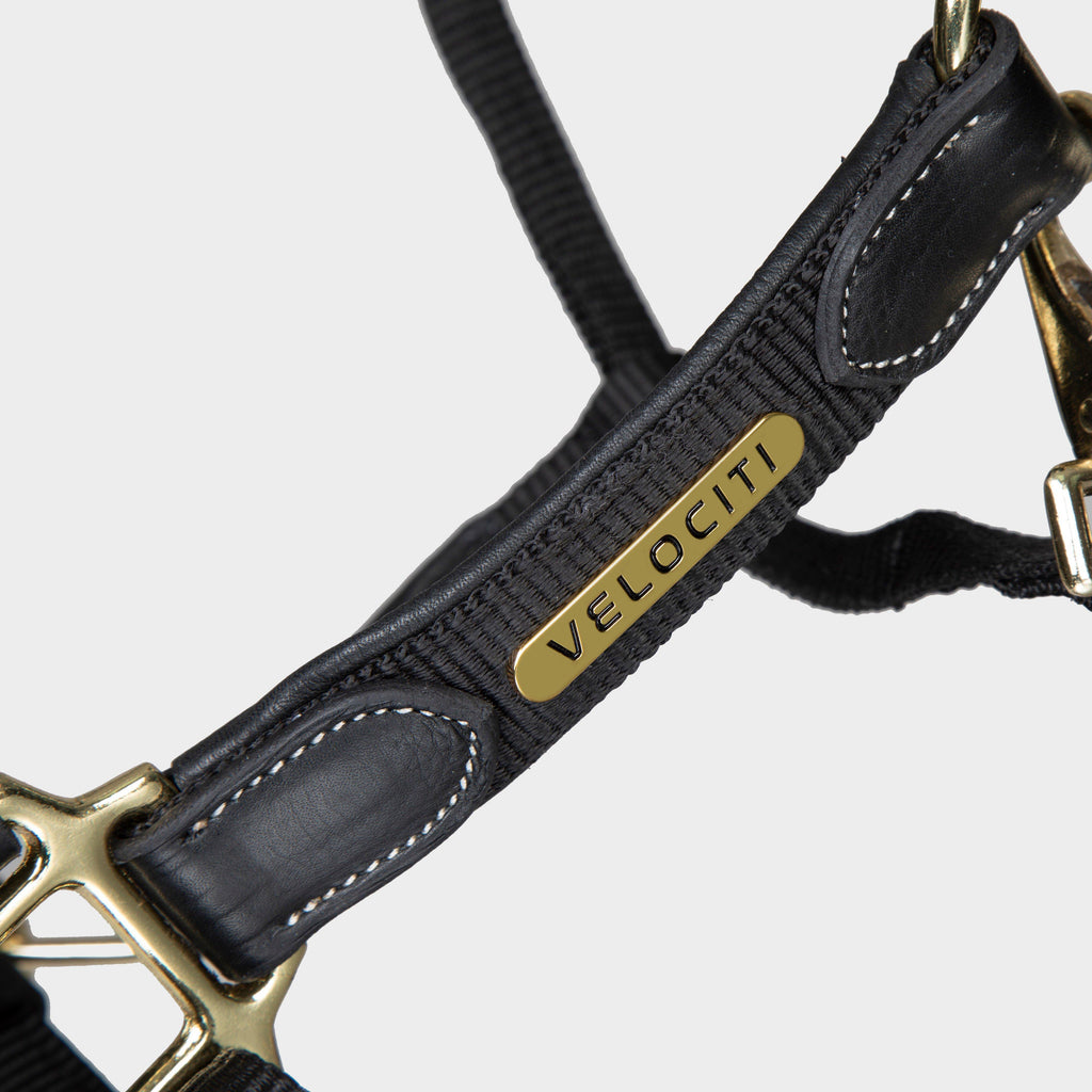 Lusso Padded Leather Headcollar Black