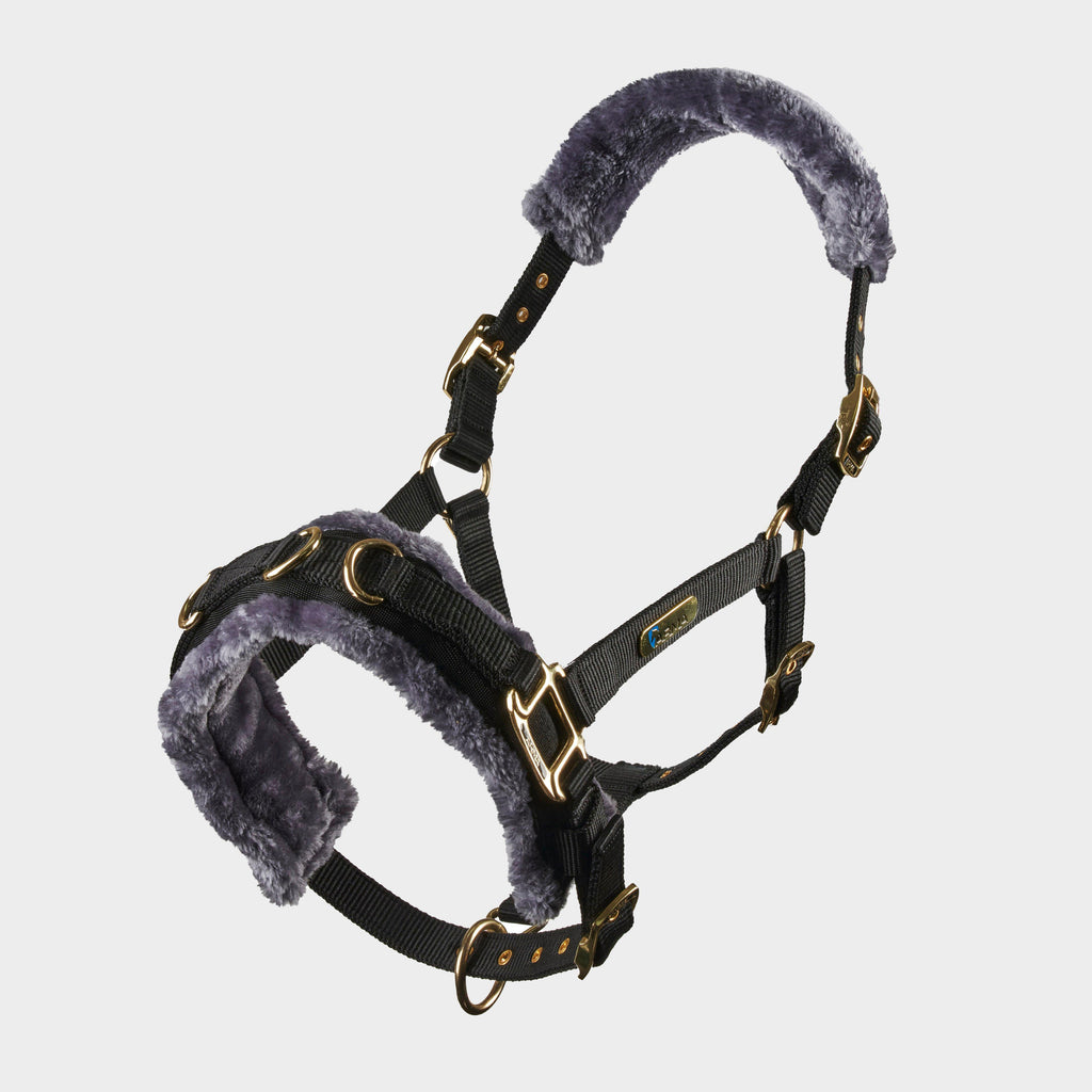 Fleece Lined Lunge Cavesson Black