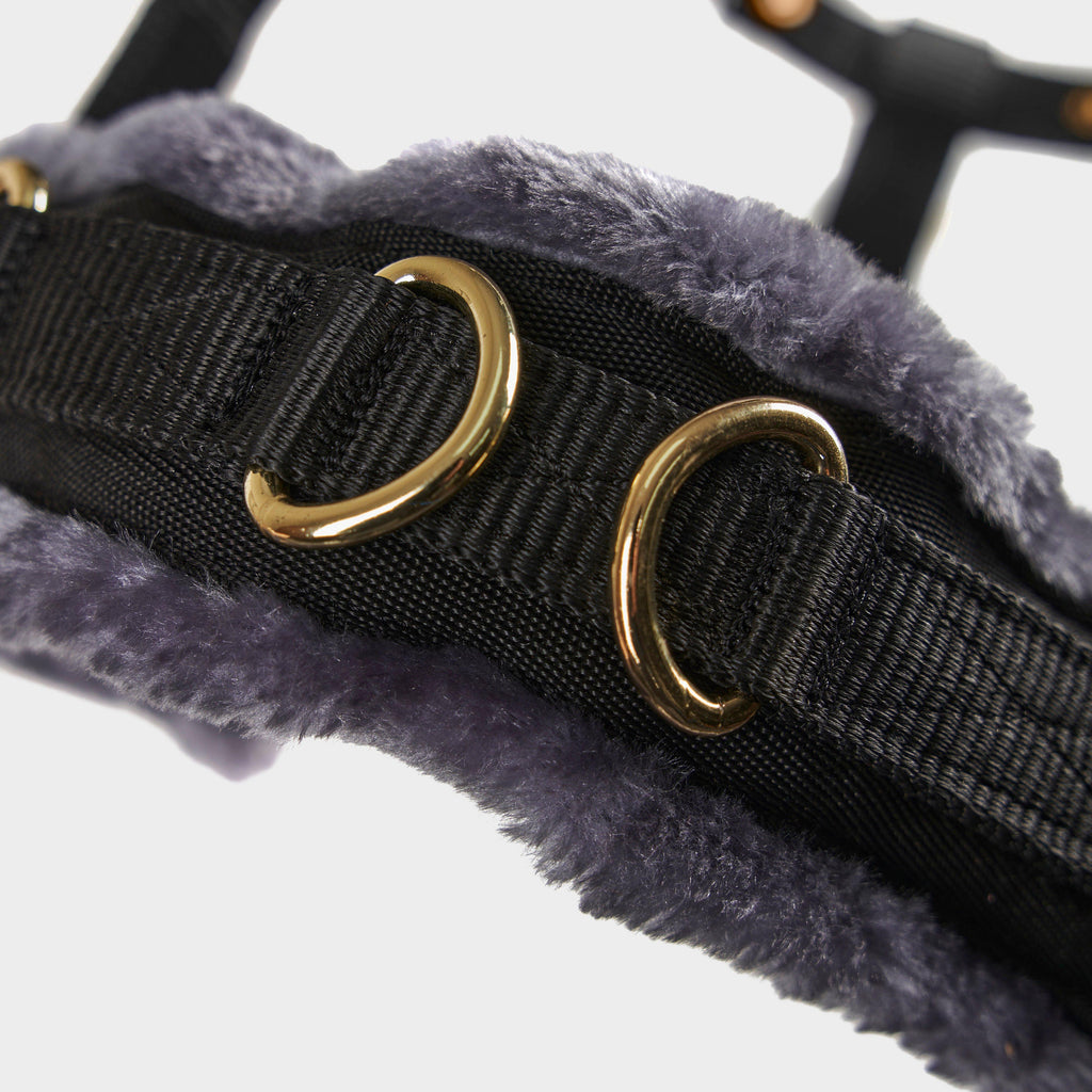 Fleece Lined Lunge Cavesson Black