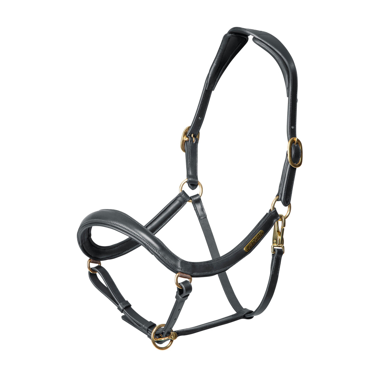 Rapida Curved Leather Headcollar Black