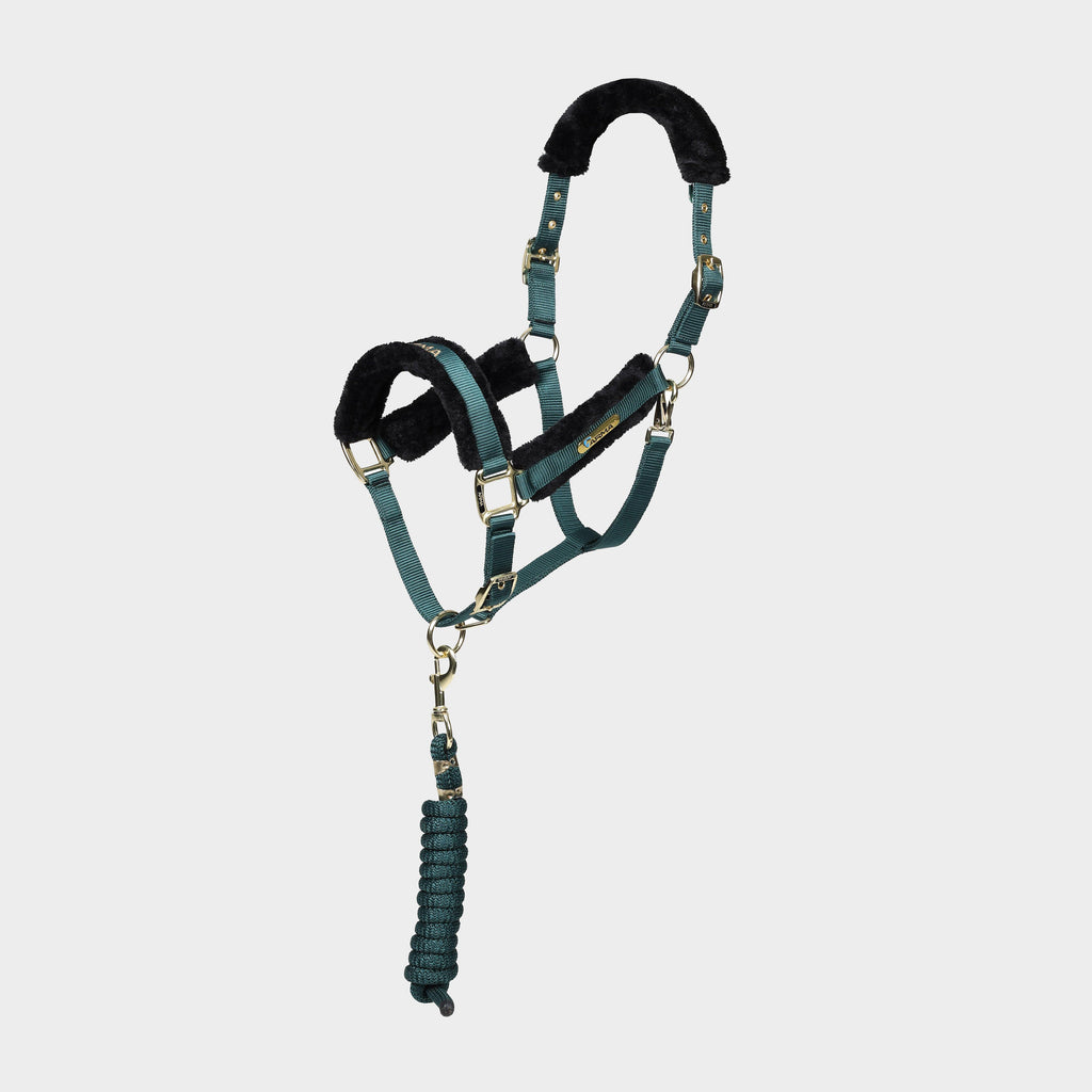 Logo Headcollar & Lead Rope Green