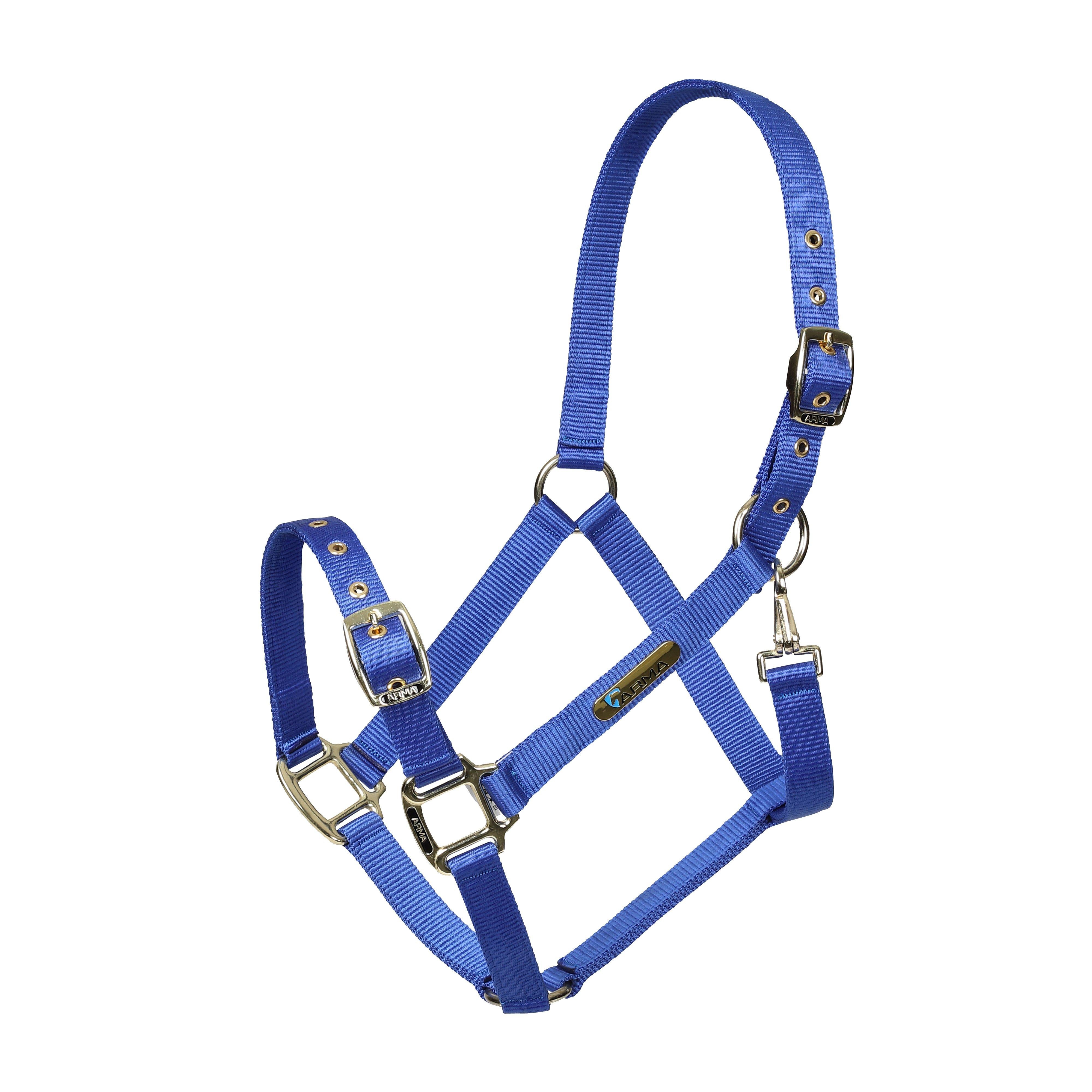 Adjustable Headcollar Blue