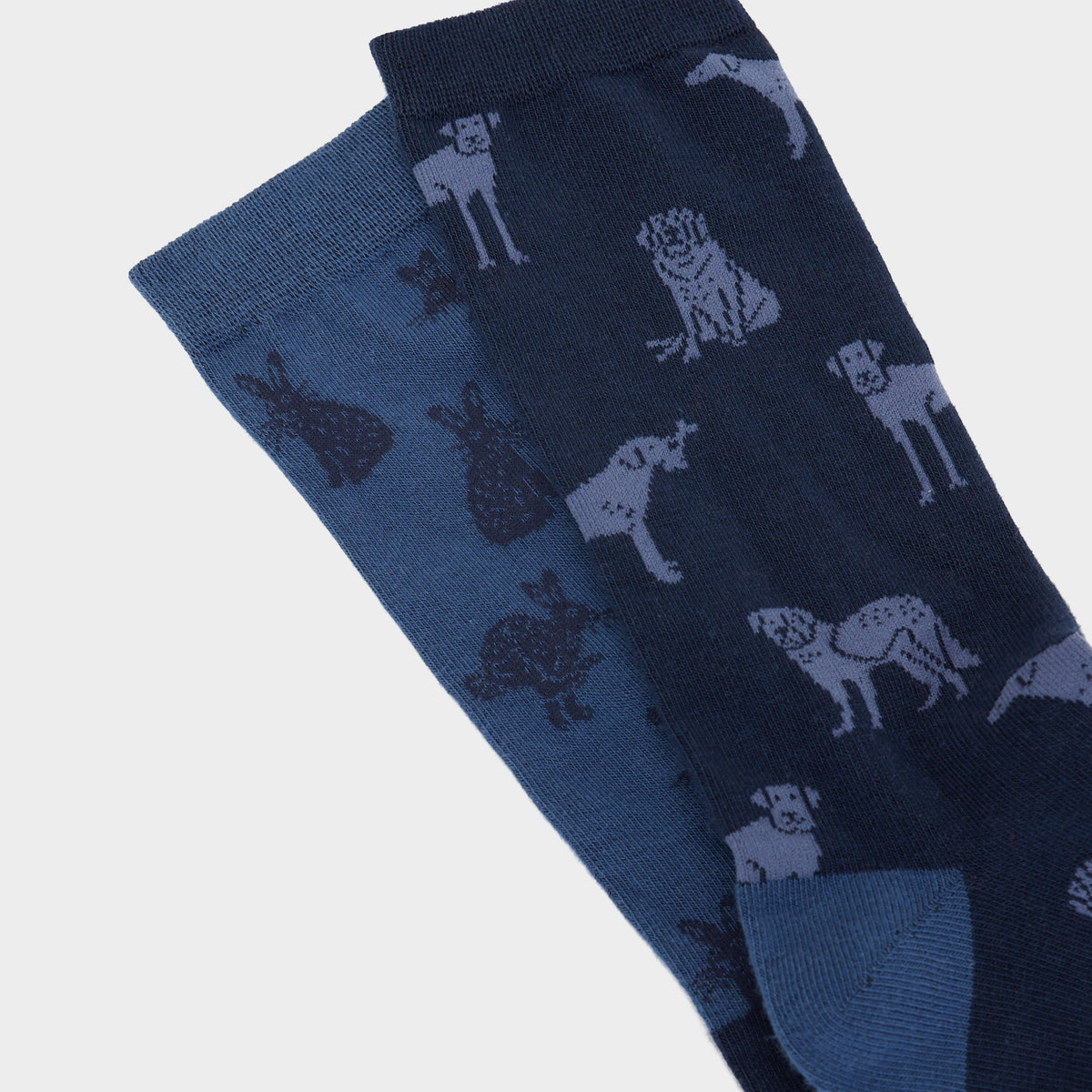 Mens Kingsbury 2 Pack Socks Blue/Navy