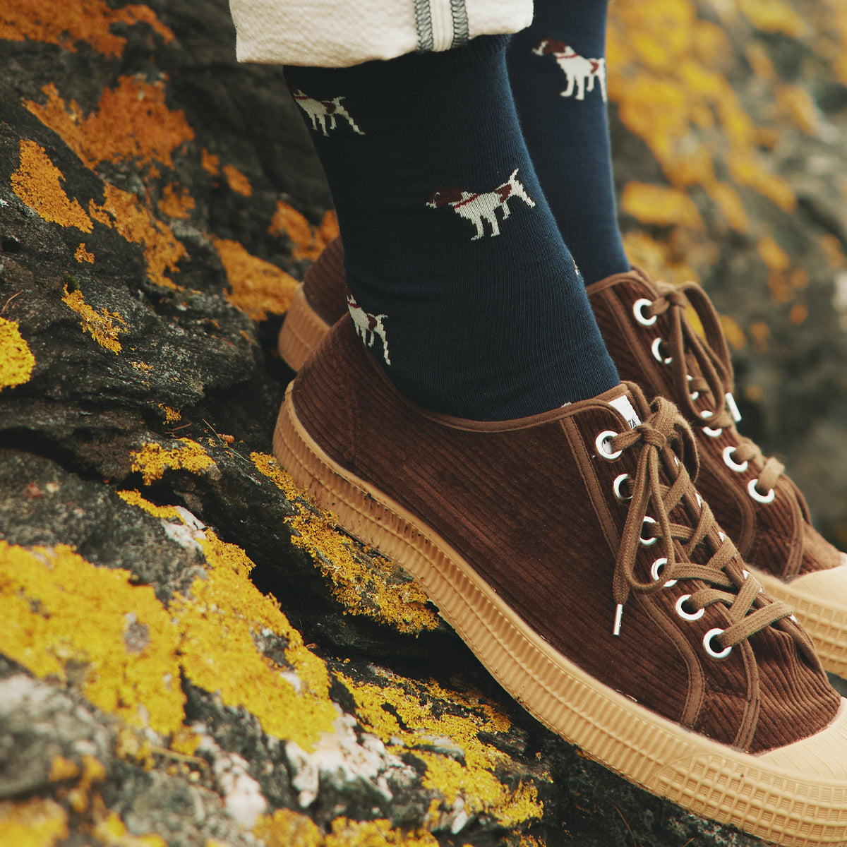 Mens Kingsbury 2 Pack Socks Blue/Navy