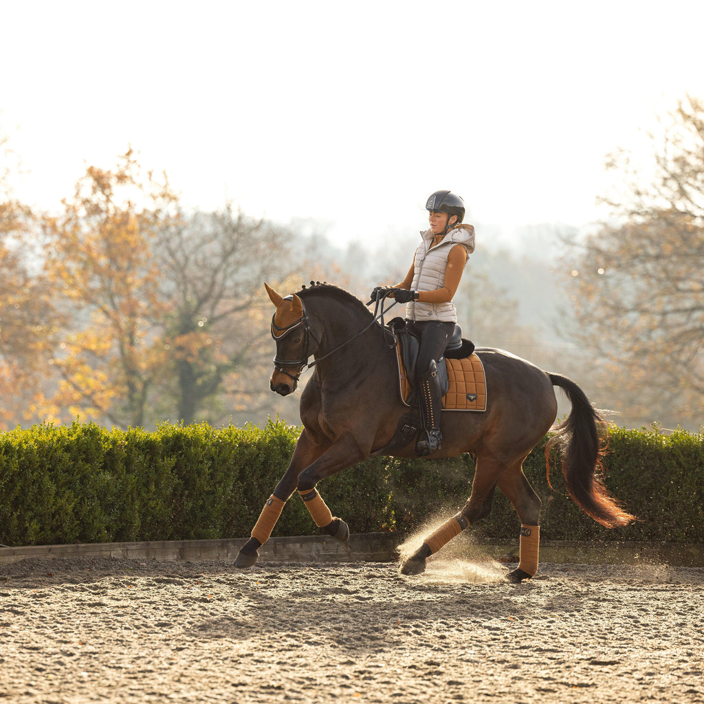 Womens Base Layer Ginger