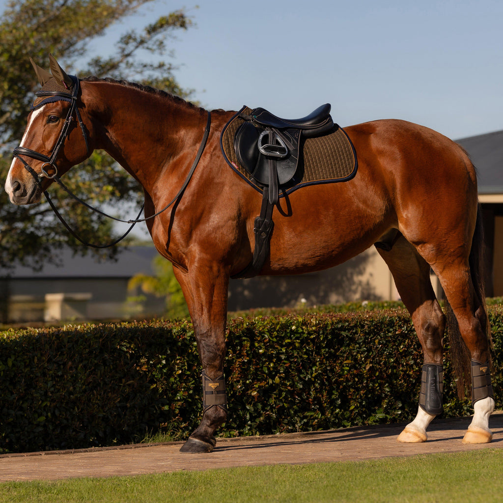 Suede Close Contact Saddle Pad Alpine