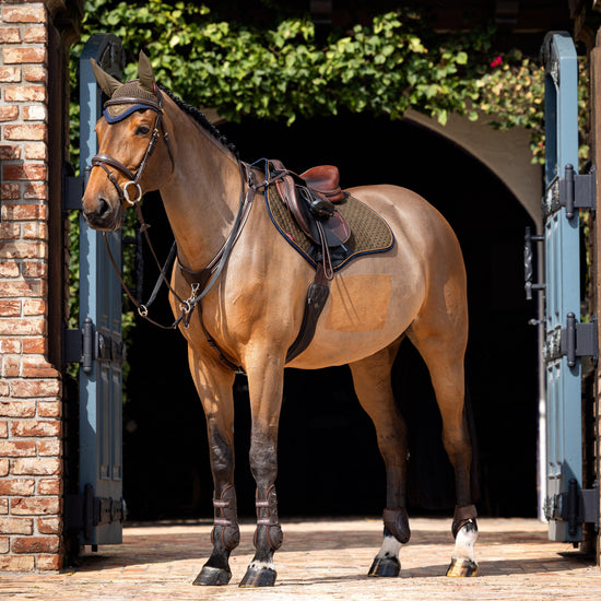 Suede Close Contact Saddle Pad Alpine