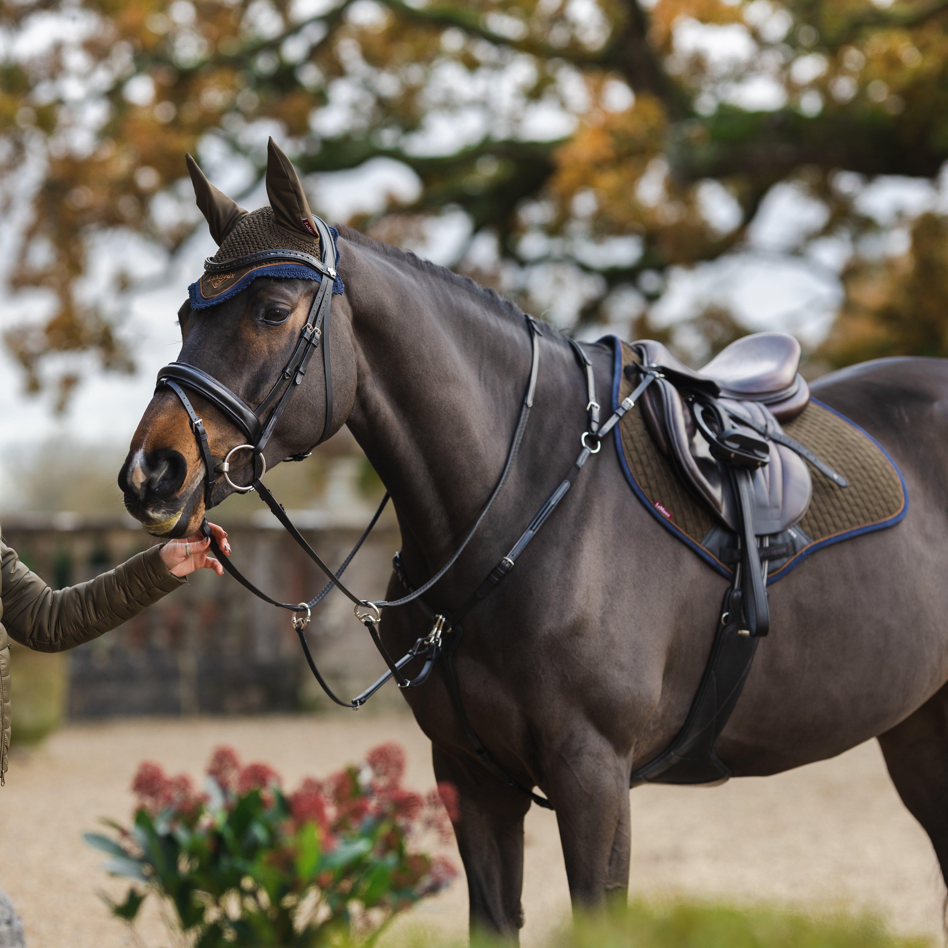 Suede Close Contact Saddle Pad Alpine