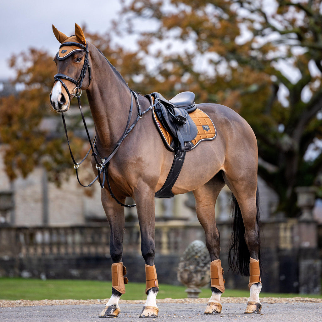 Loire Classic GP Square Saddle Pad Ginger