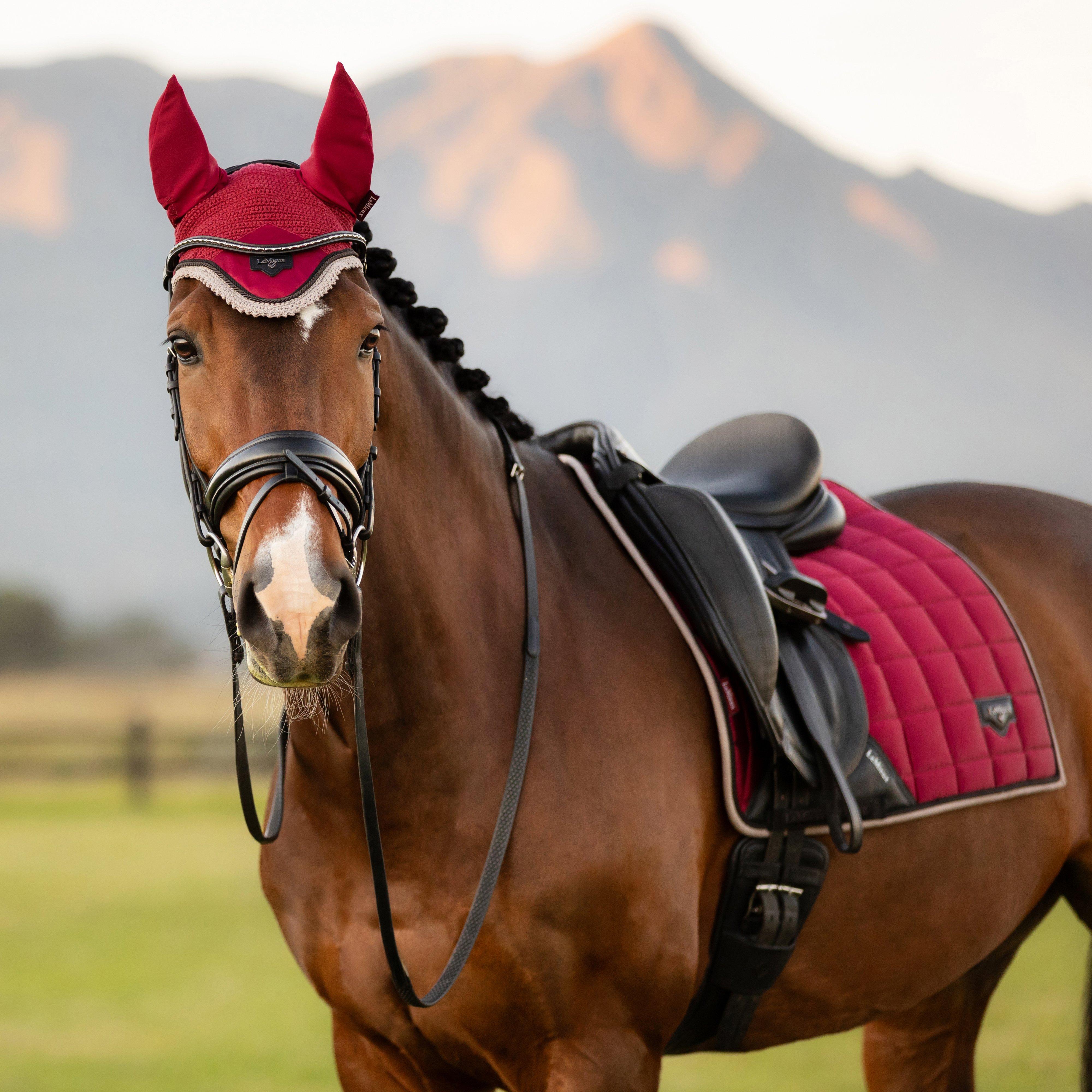 Loire Fly Hood Ember