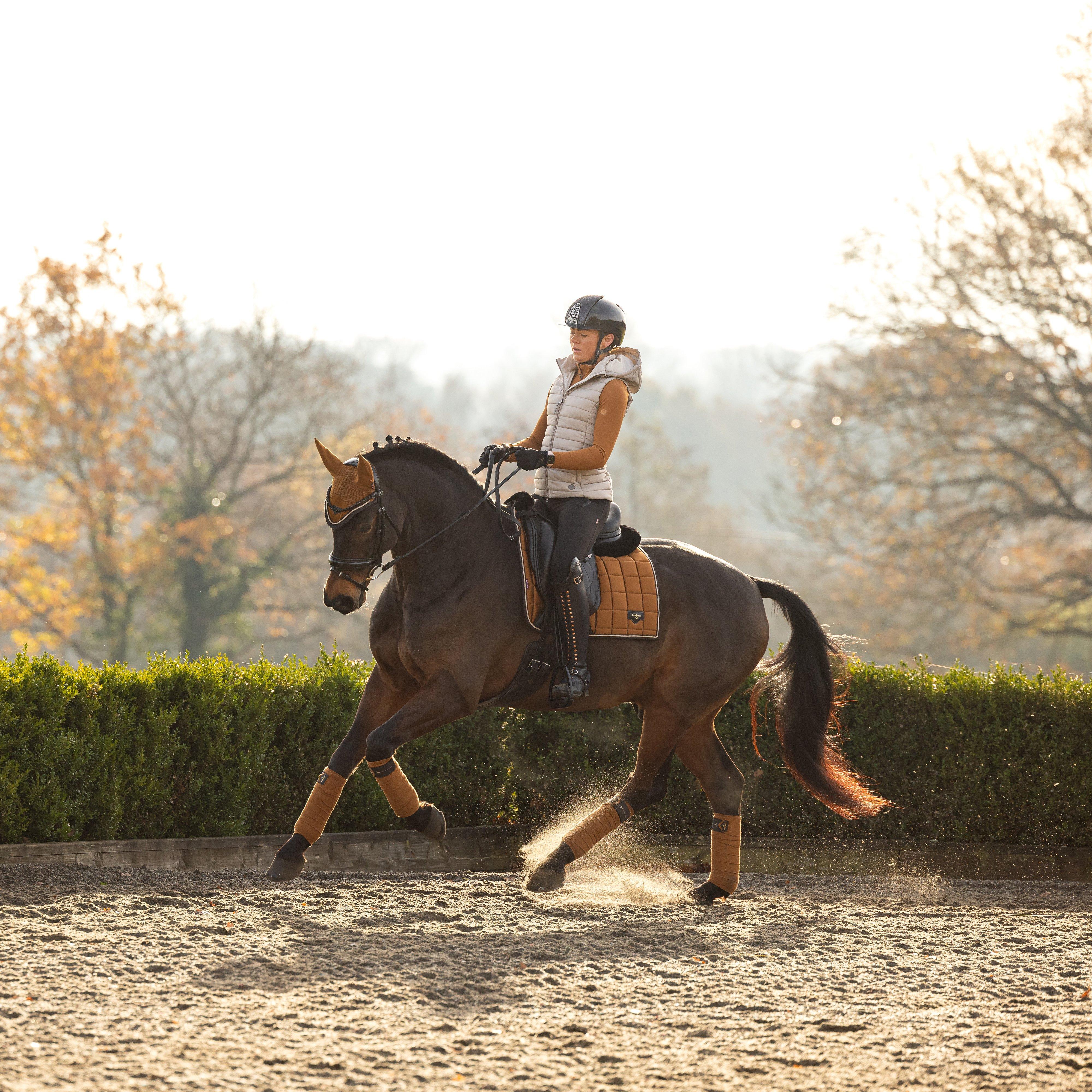 Loire Fly Hood Ginger