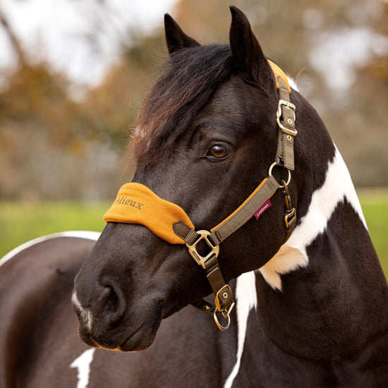 Vogue Headcollar & Leadrope Alpine