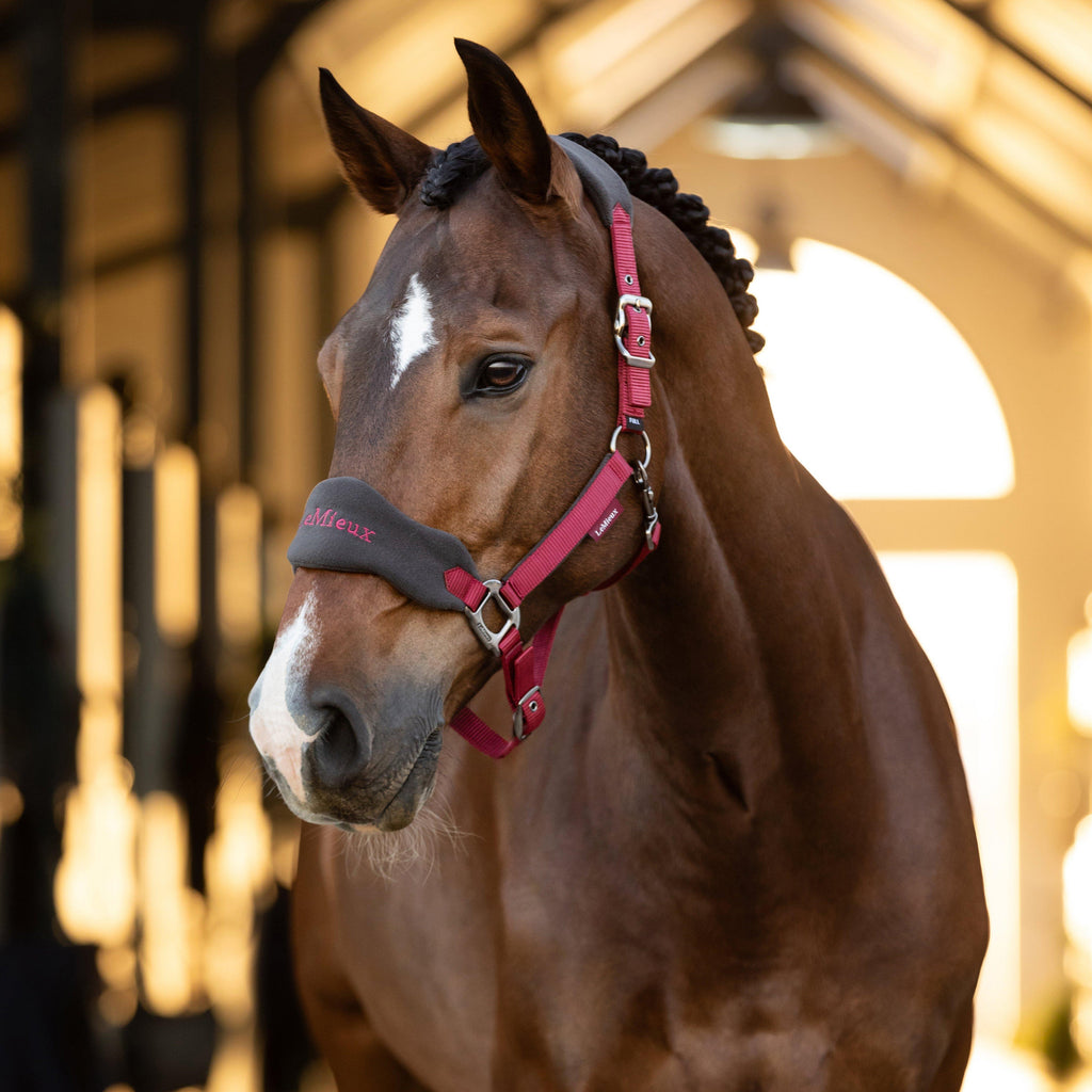 Vogue Headcollar & Leadrope Ember