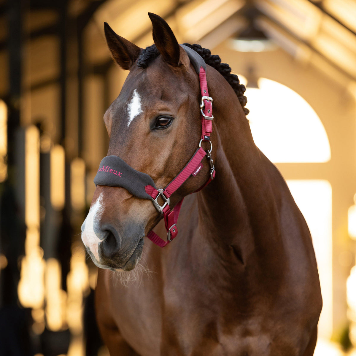 Vogue Headcollar & Leadrope Ember