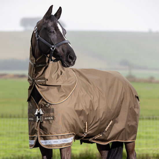 Arika Ripstop 200g Mediumweight Detach-A-Neck Turnout Rug Alpine