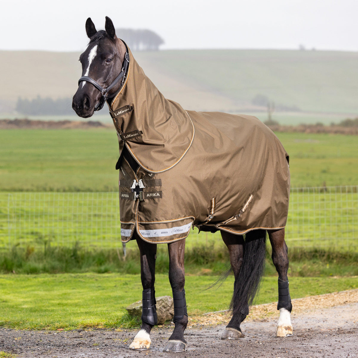 Arika Ripstop 200g Mediumweight Detach-A-Neck Turnout Rug Alpine