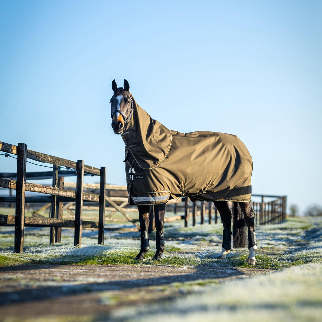 Arika Ripstop 200g Mediumweight Detach-A-Neck Turnout Rug Alpine