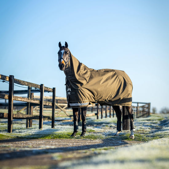 Arika Ripstop 200g Mediumweight Detach-A-Neck Turnout Rug Alpine