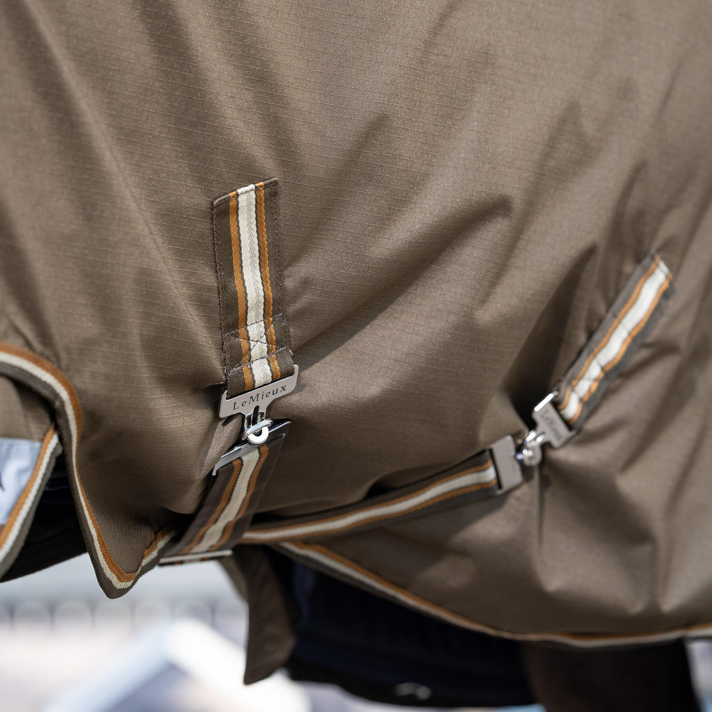 Arika Ripstop 200g Mediumweight Detach-A-Neck Turnout Rug Alpine