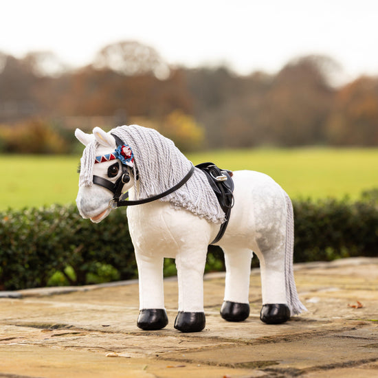 Toy Pony Coco