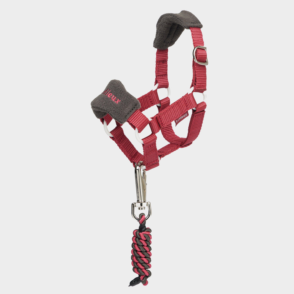 Toy Pony Vogue Headcollar & Leadrope Ember