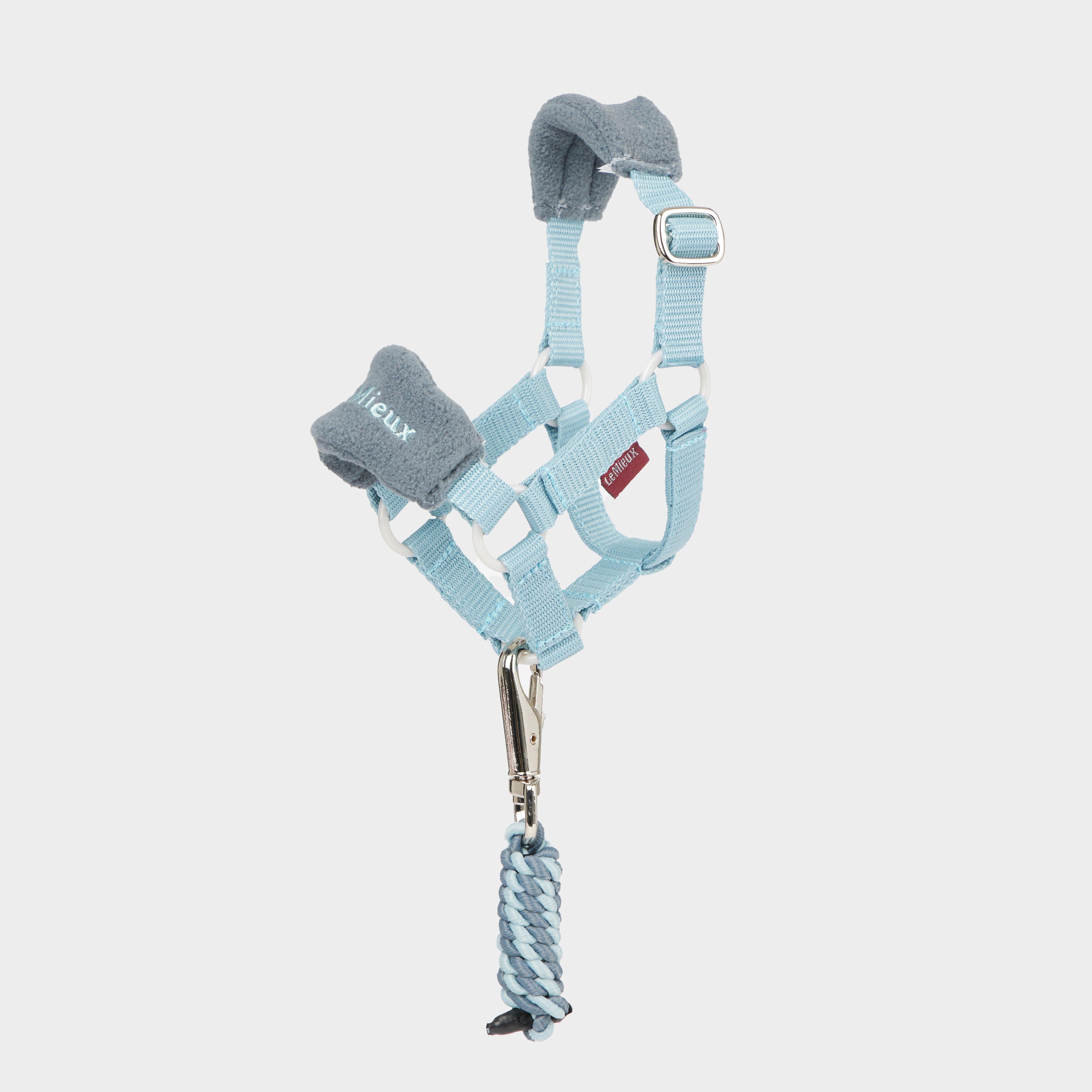 Toy Pony Vogue Headcollar & Leadrope Glacier