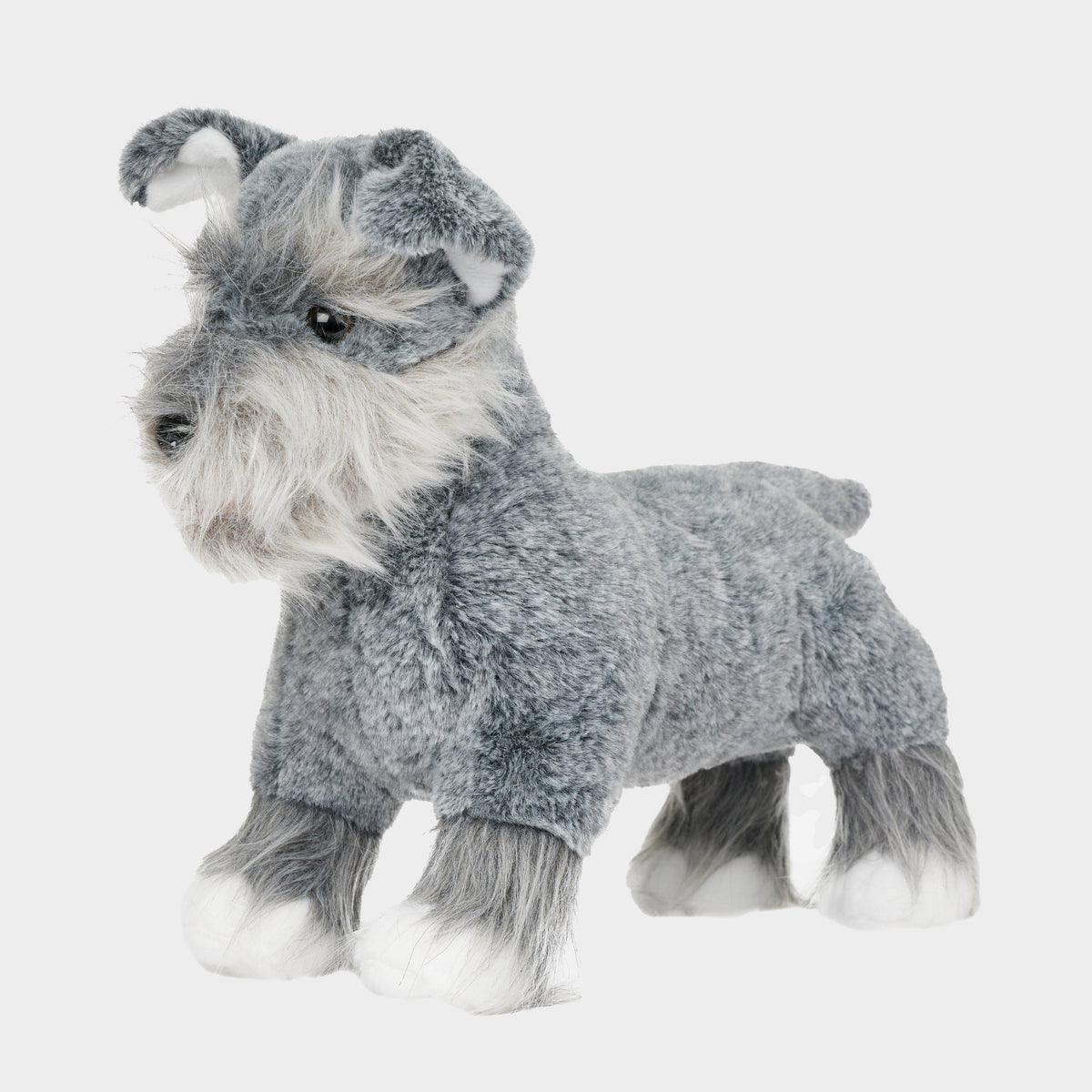 Toy Puppy Schnauzer Cooper