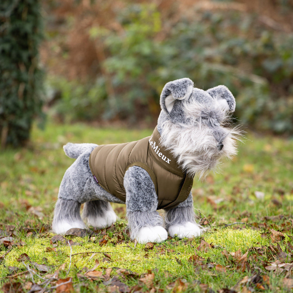 Toy Puppy Schnauzer Cooper