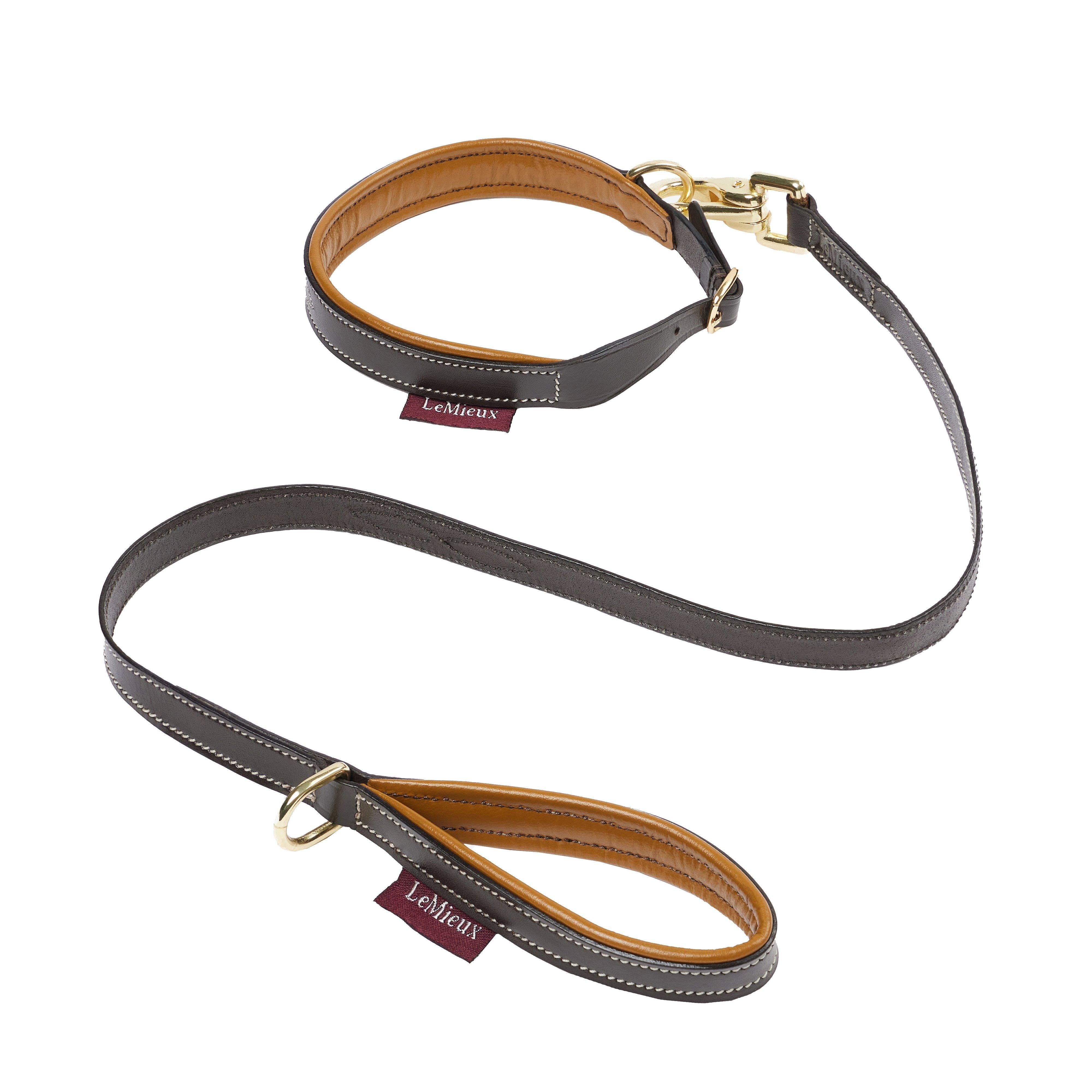 Toy Puppy Collar & Lead Ginger/Brown