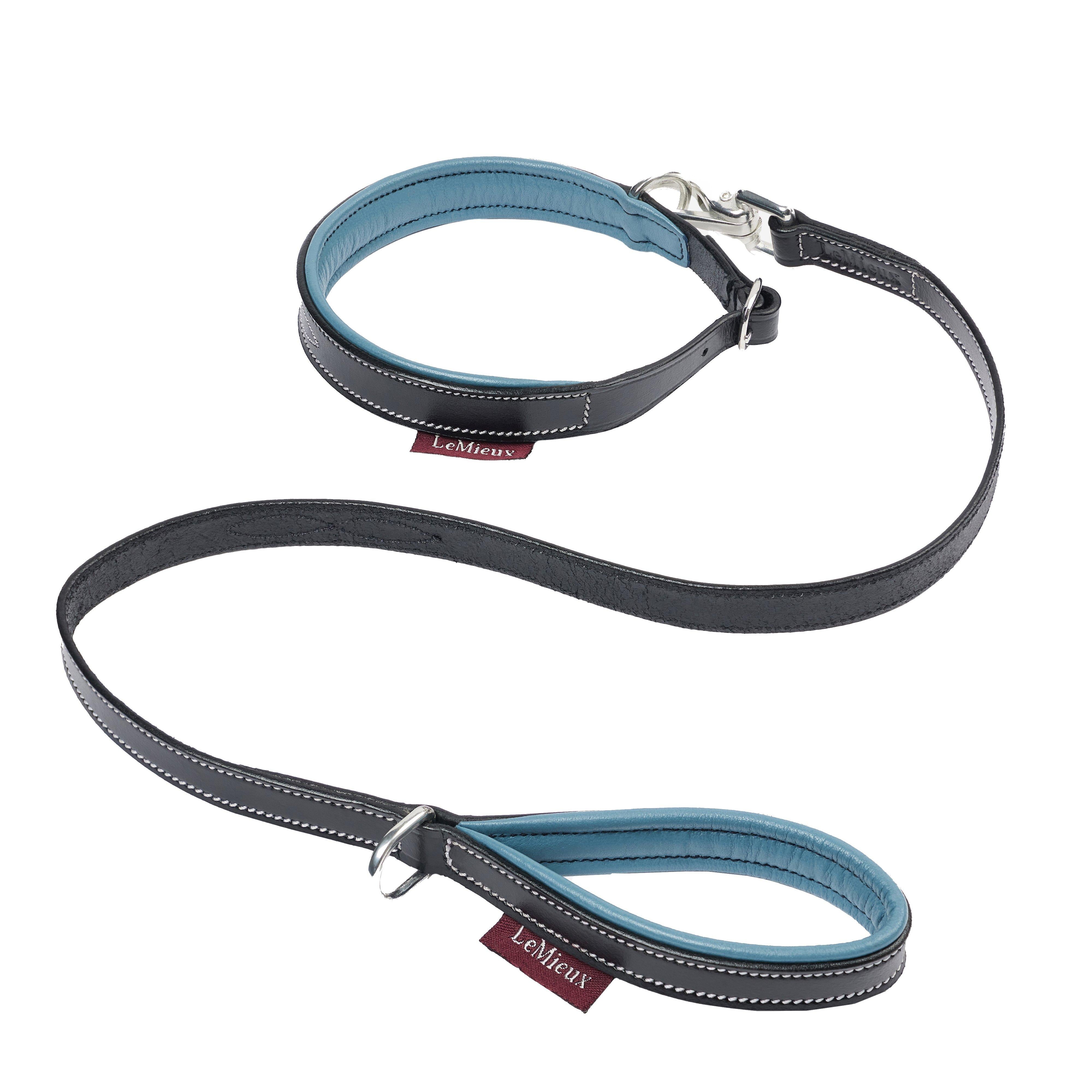 Toy Puppy Collar & Lead Ice Blue