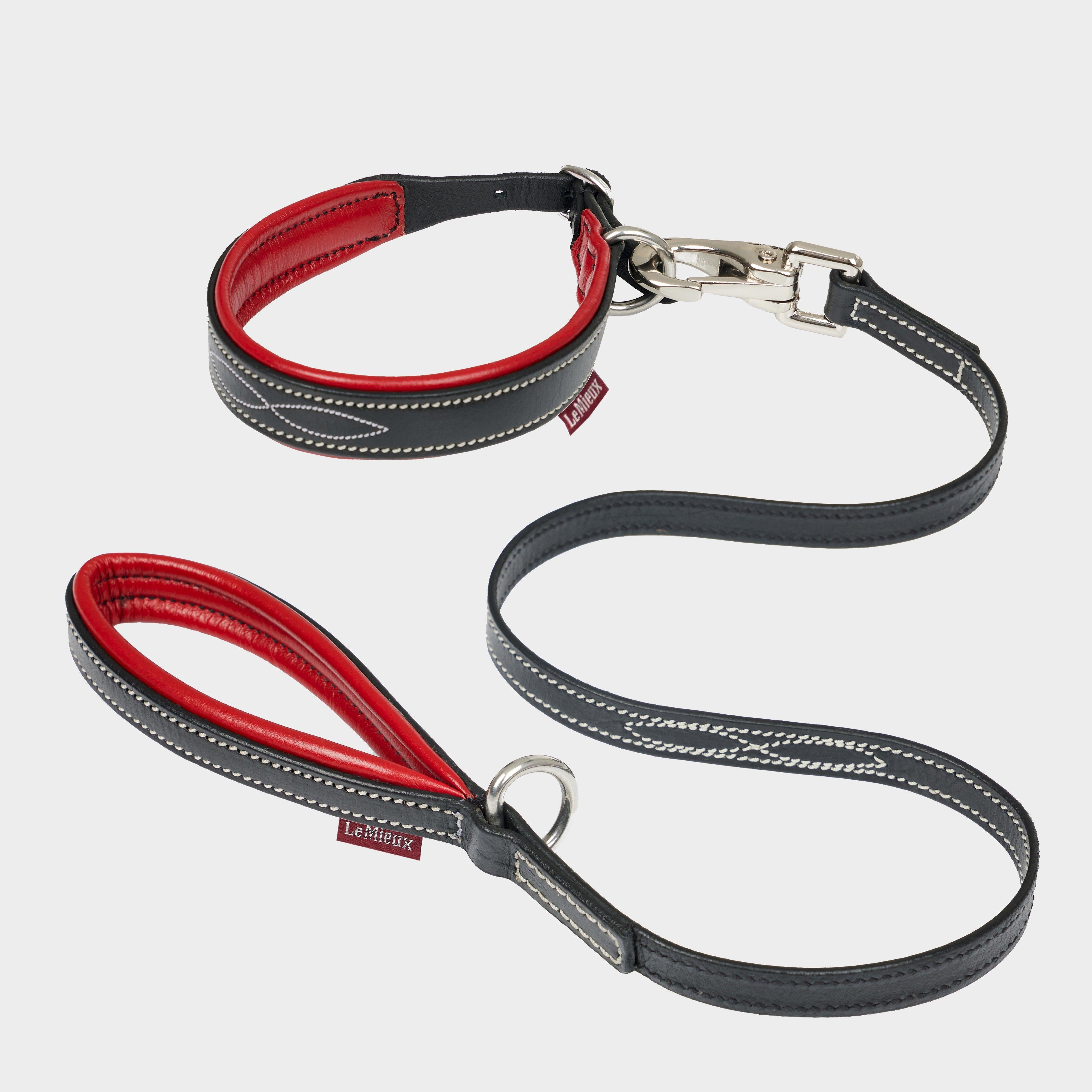 Toy Puppy Collar & Lead Chilli