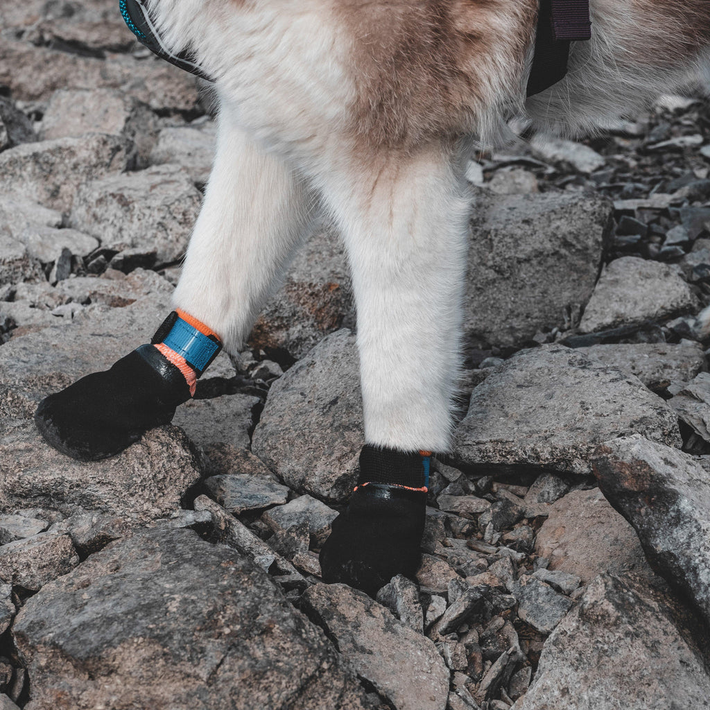 Protector Booties Black/Orange