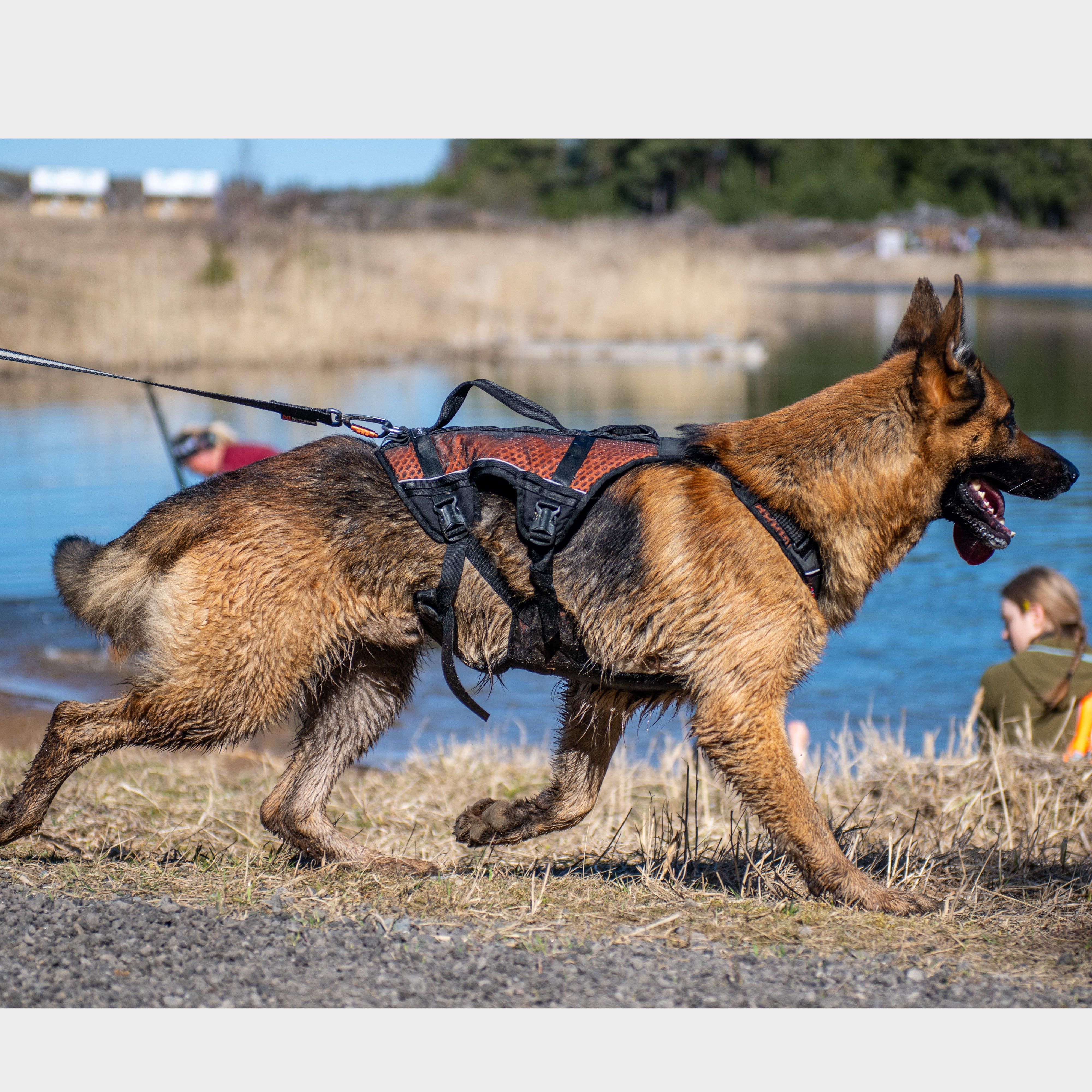 Rock Harness Long Black/Orange