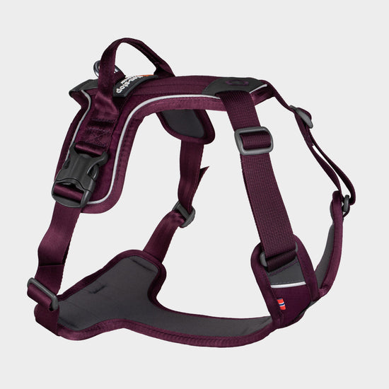 Ramble Harness Purple