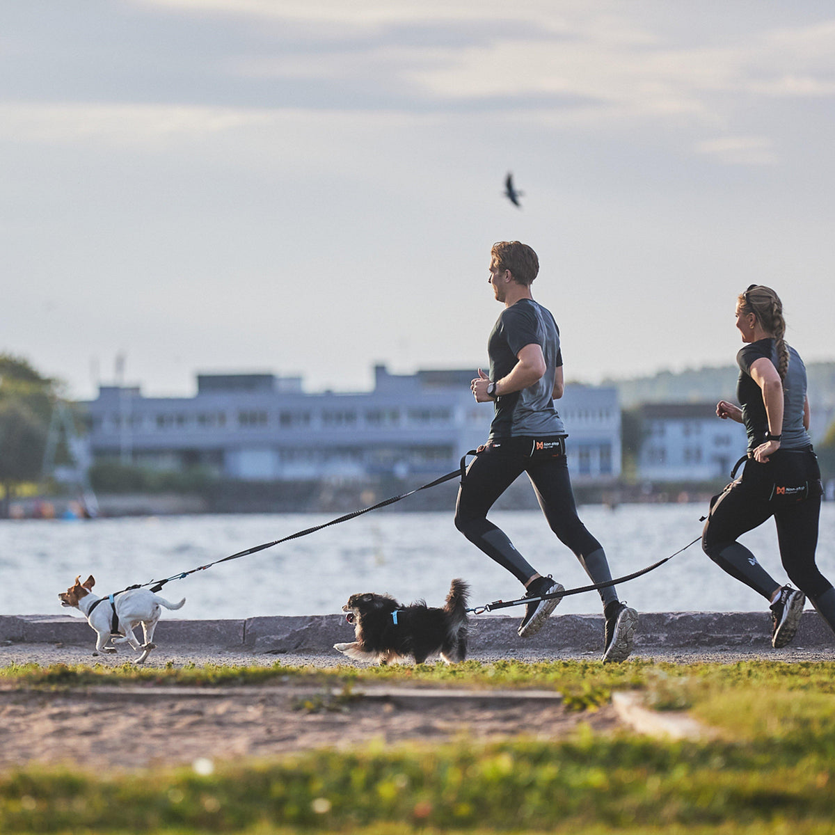 Touring Bungee Leash Black/Grey 1.5m